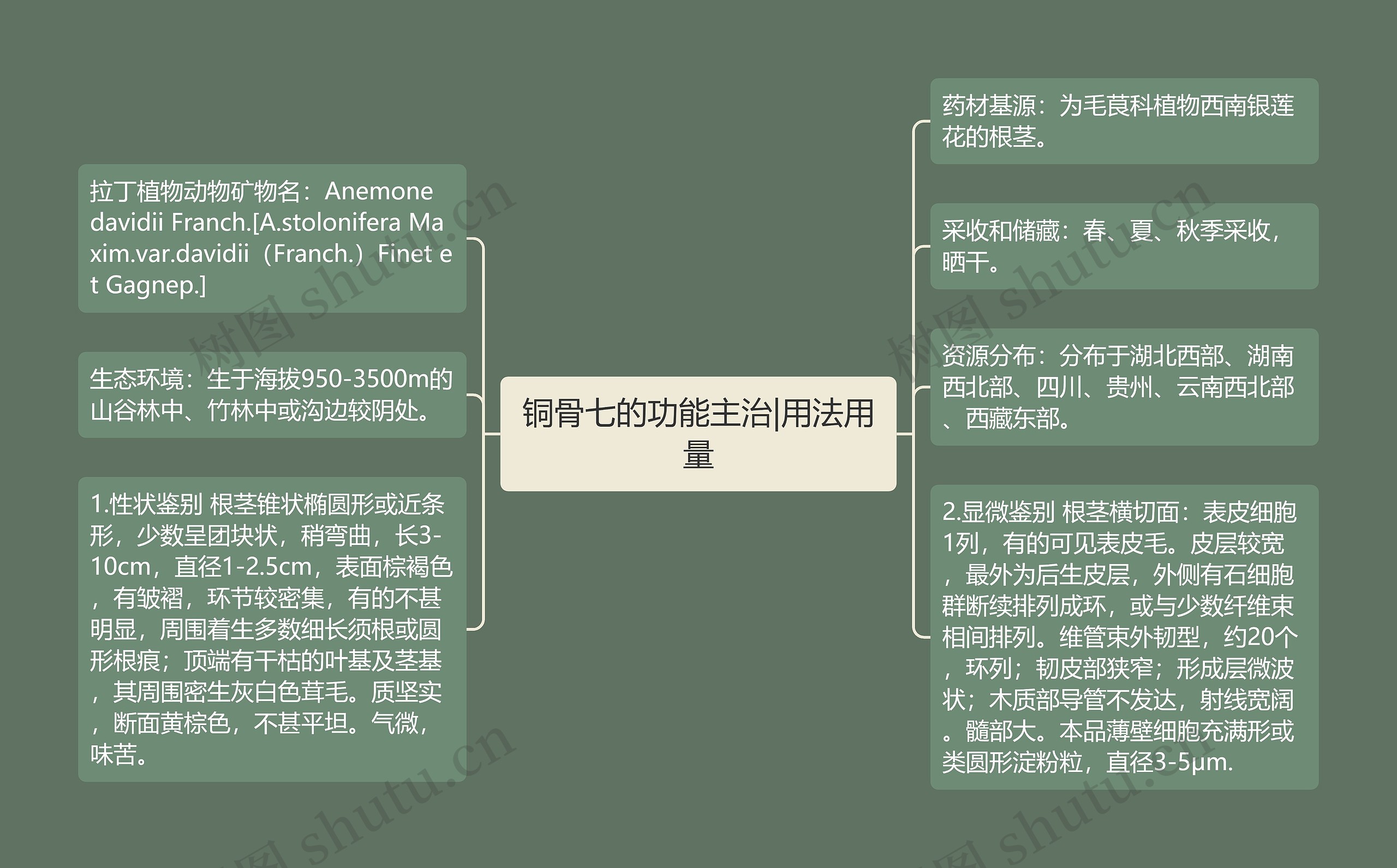 铜骨七的功能主治|用法用量 铜骨七的功能主治|用法用量