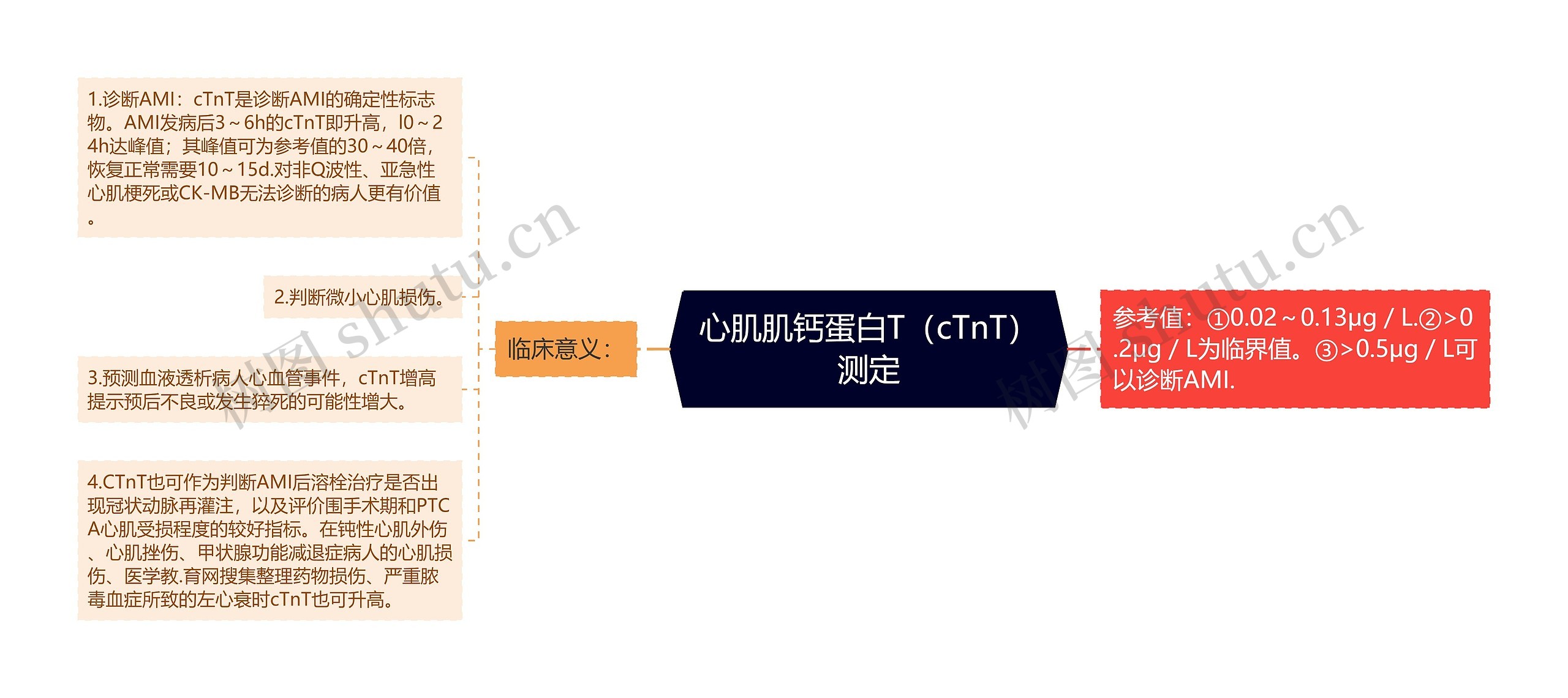 心肌肌钙蛋白T（cTnT）测定