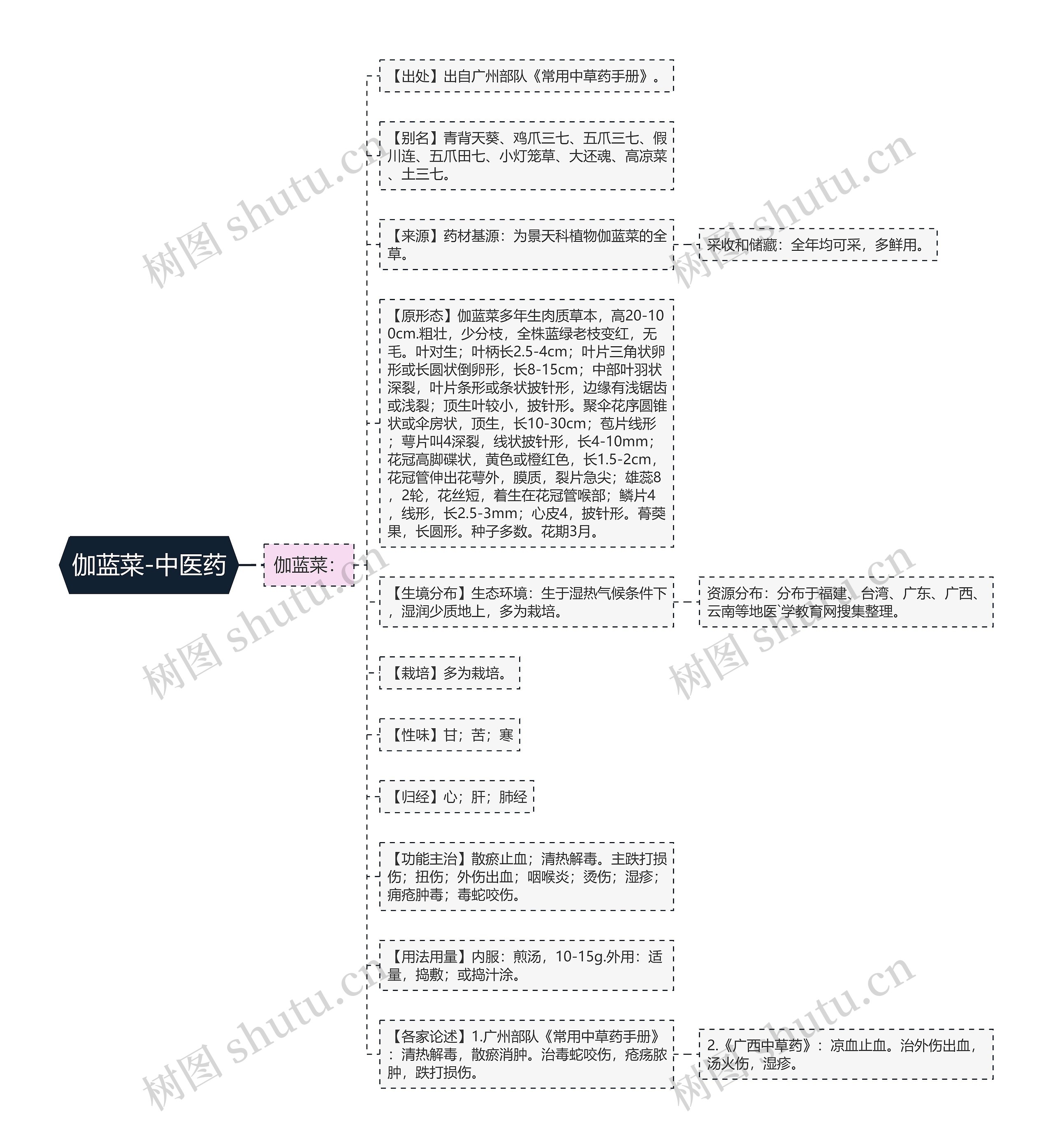 伽蓝菜-中医药思维导图