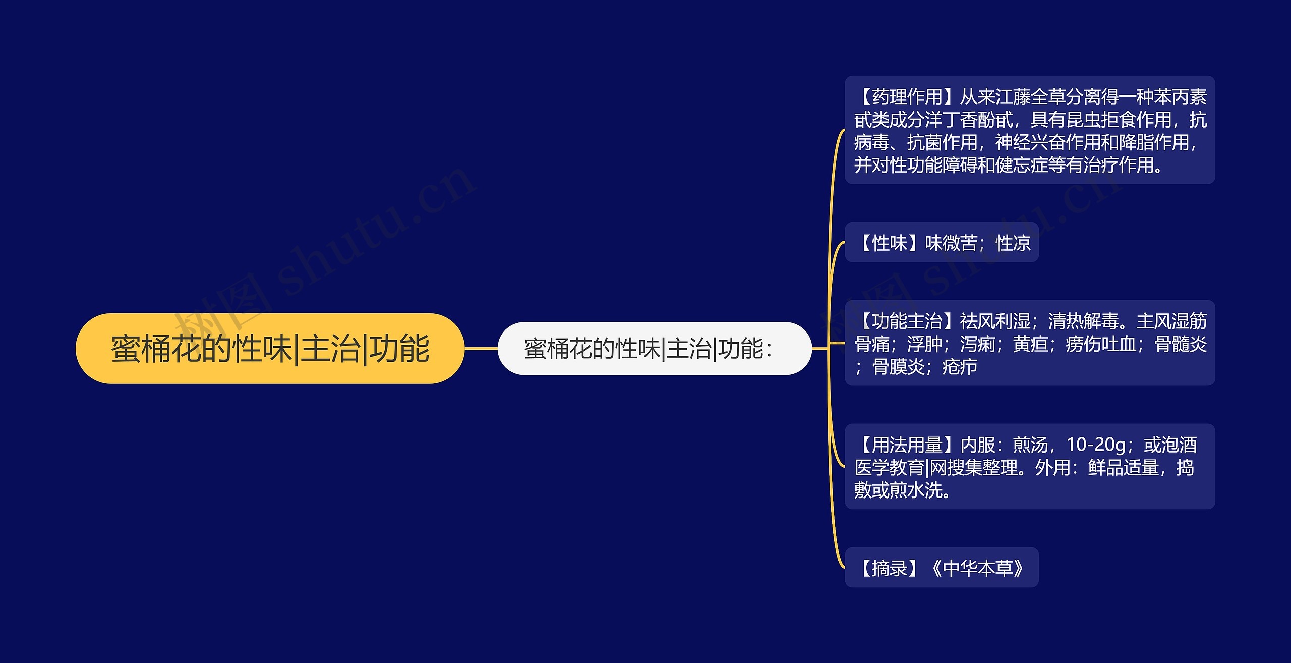 蜜桶花的性味|主治|功能思维导图