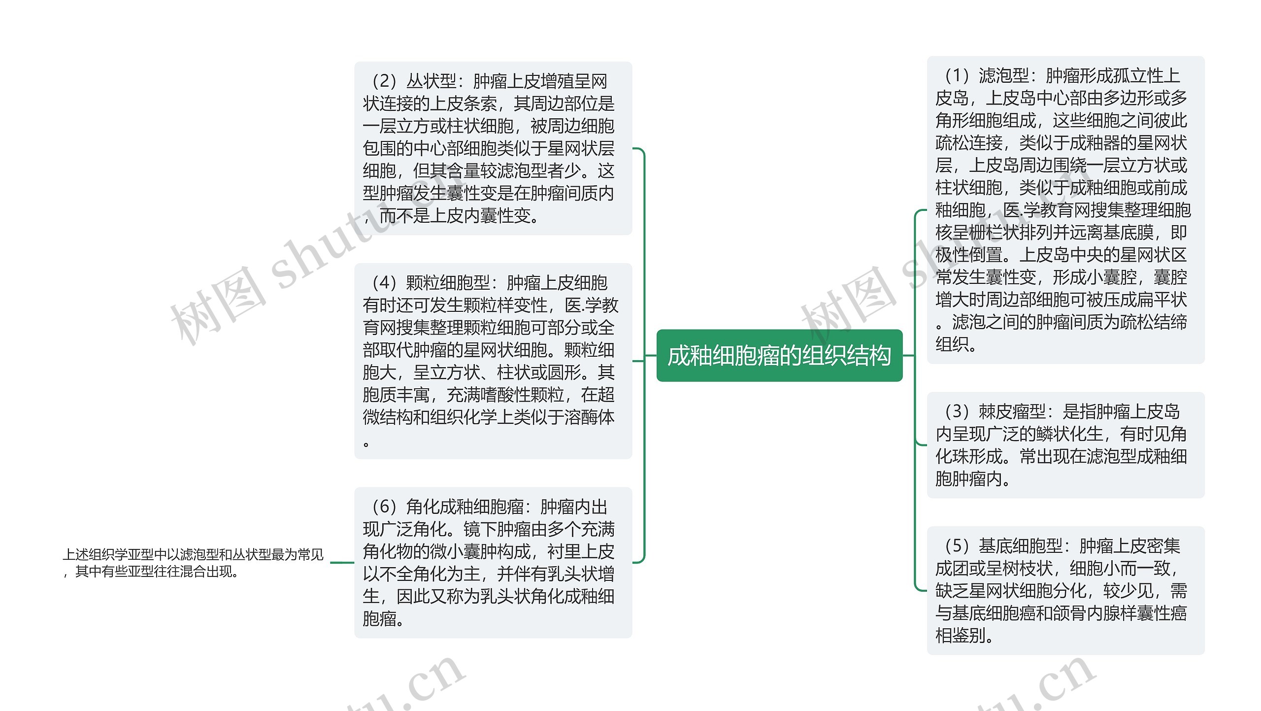 成釉细胞瘤的组织结构思维导图