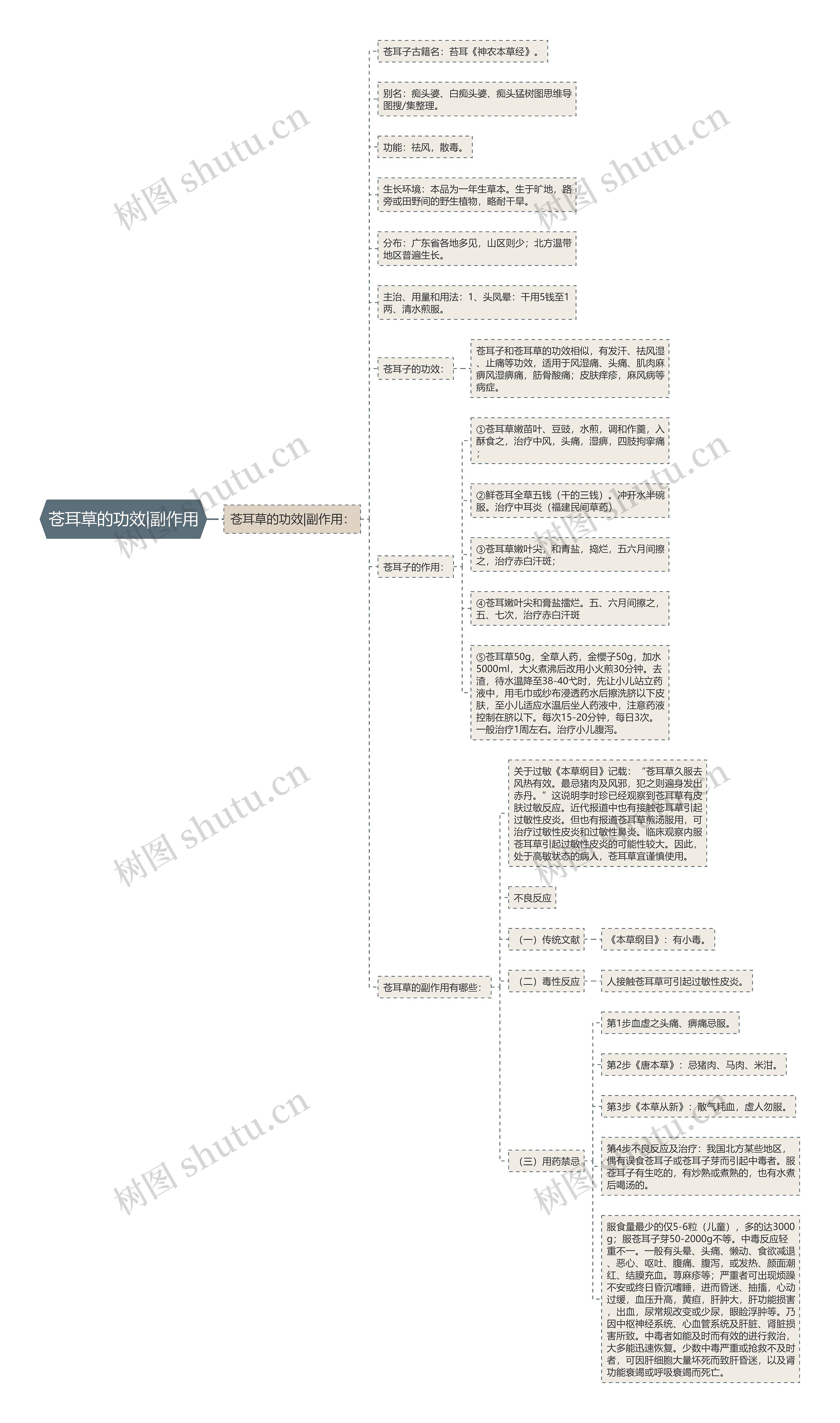 苍耳草的功效|副作用 苍耳草的功效|副作用