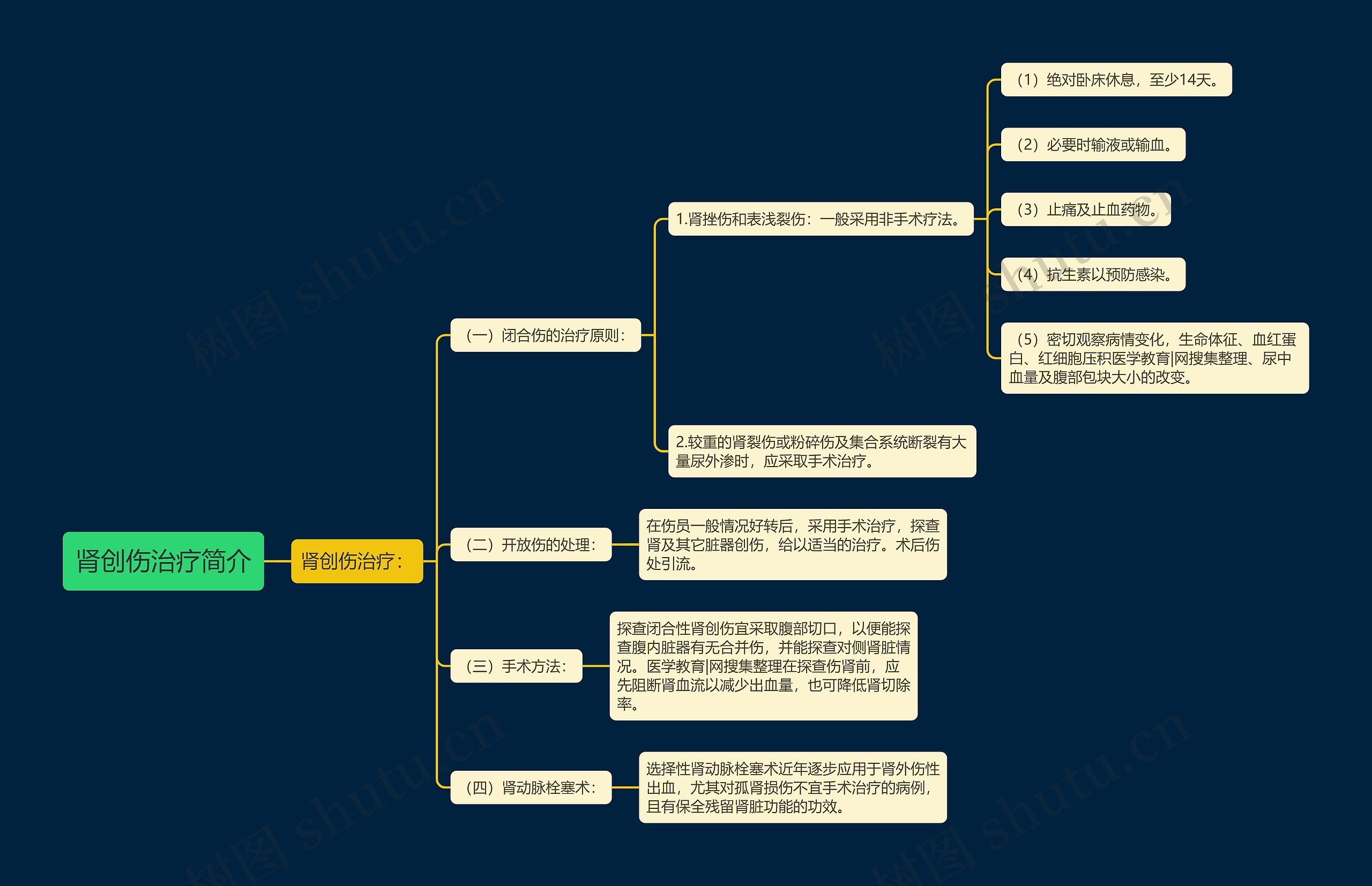 肾创伤治疗简介思维导图