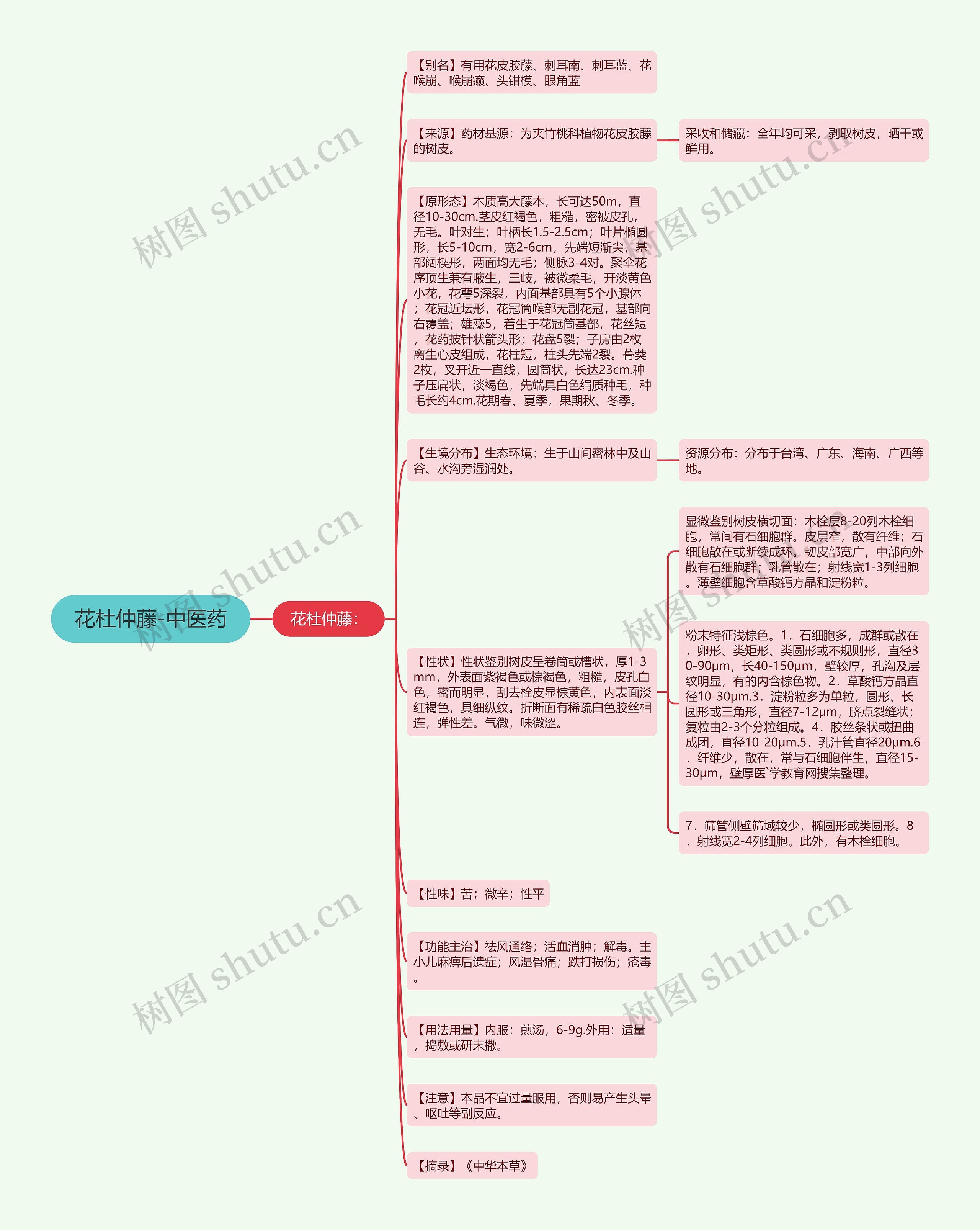 花杜仲藤-中医药思维导图