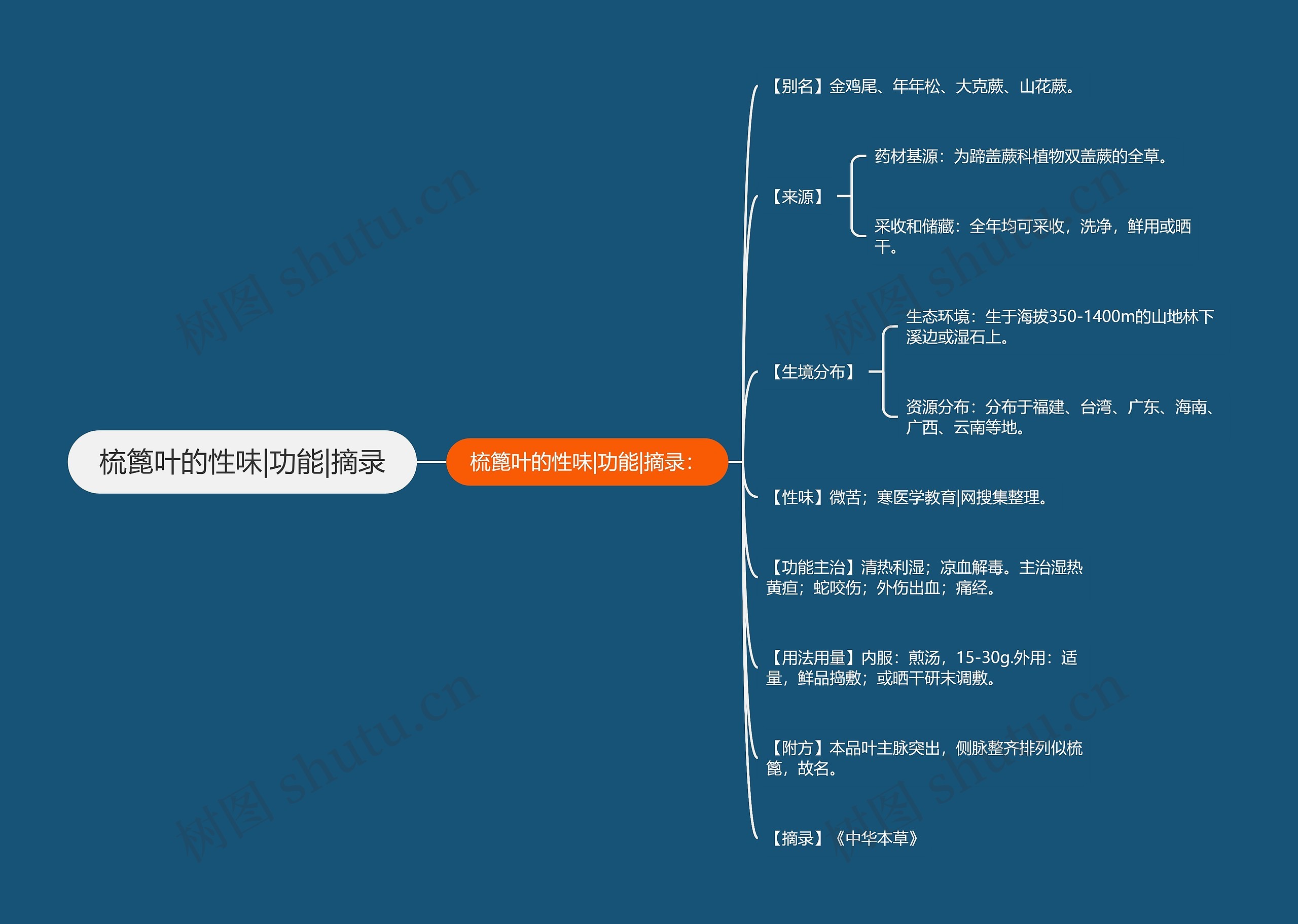 梳篦叶的性味|功能|摘录思维导图