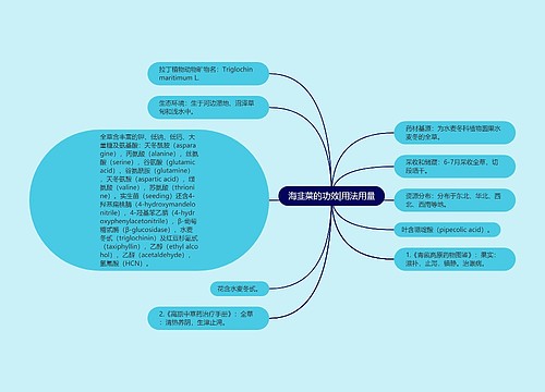 海韭菜的功效|用法用量