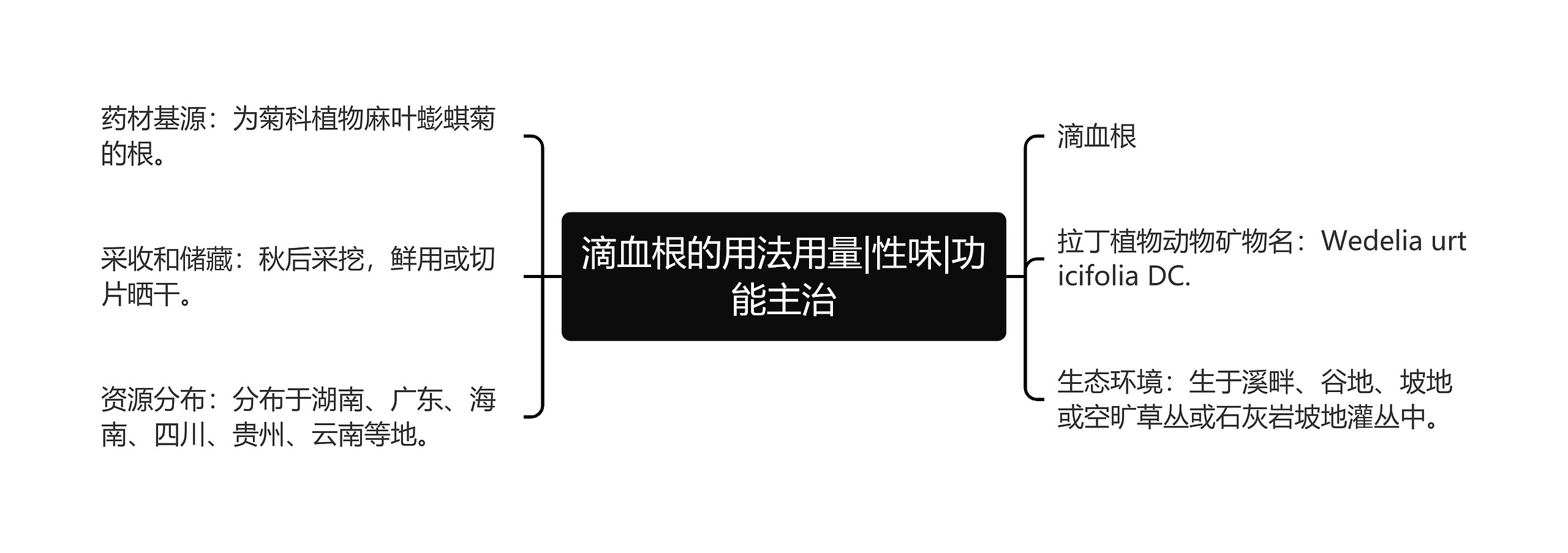 滴血根的用法用量|性味|功能主治