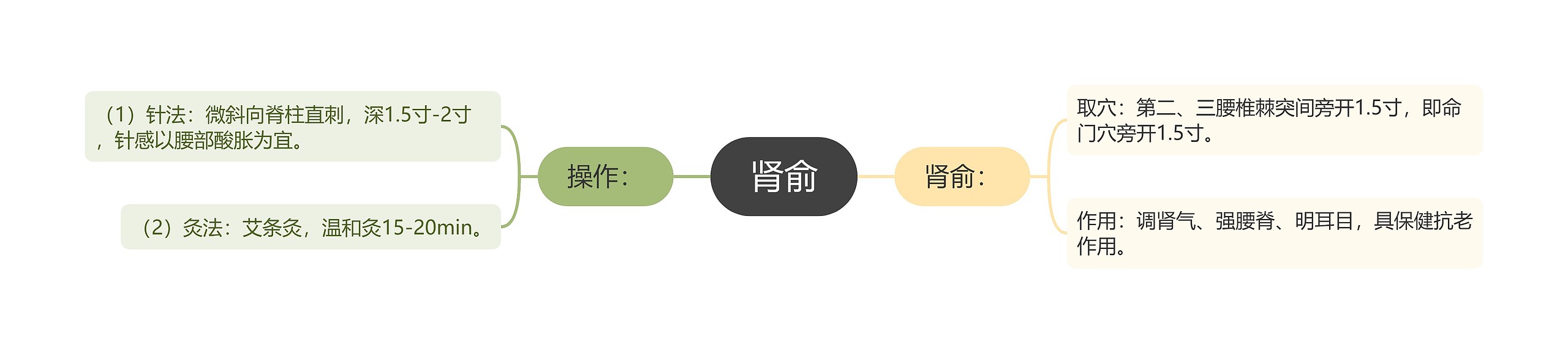 肾俞