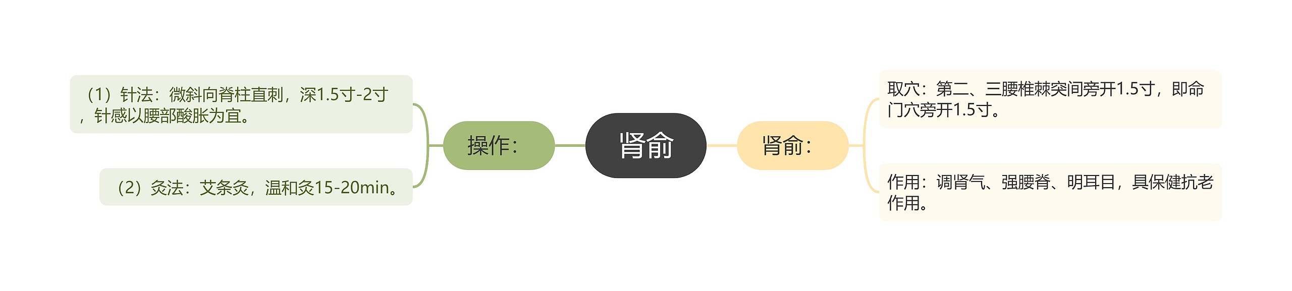 肾俞思维导图