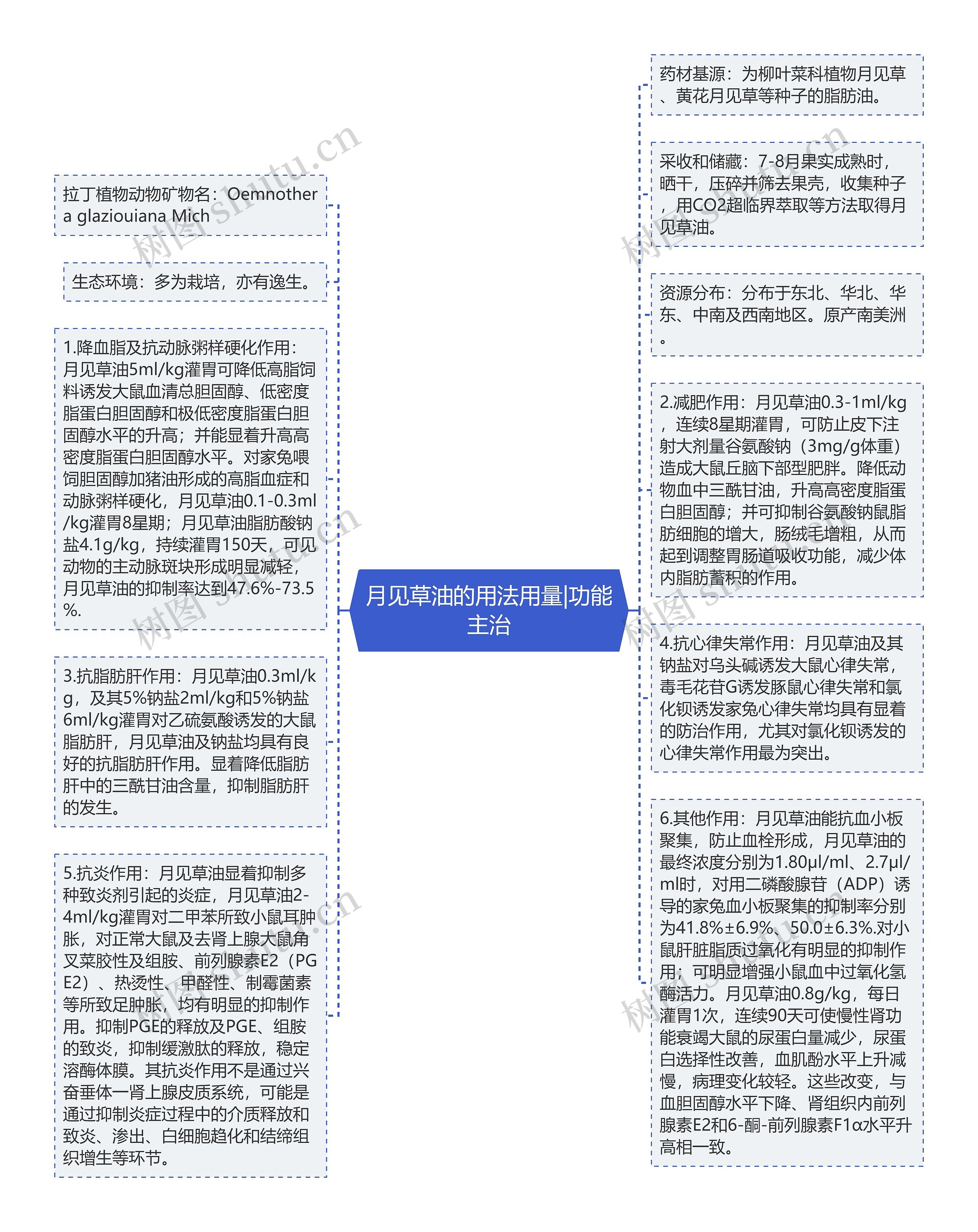 月见草油的用法用量|功能主治