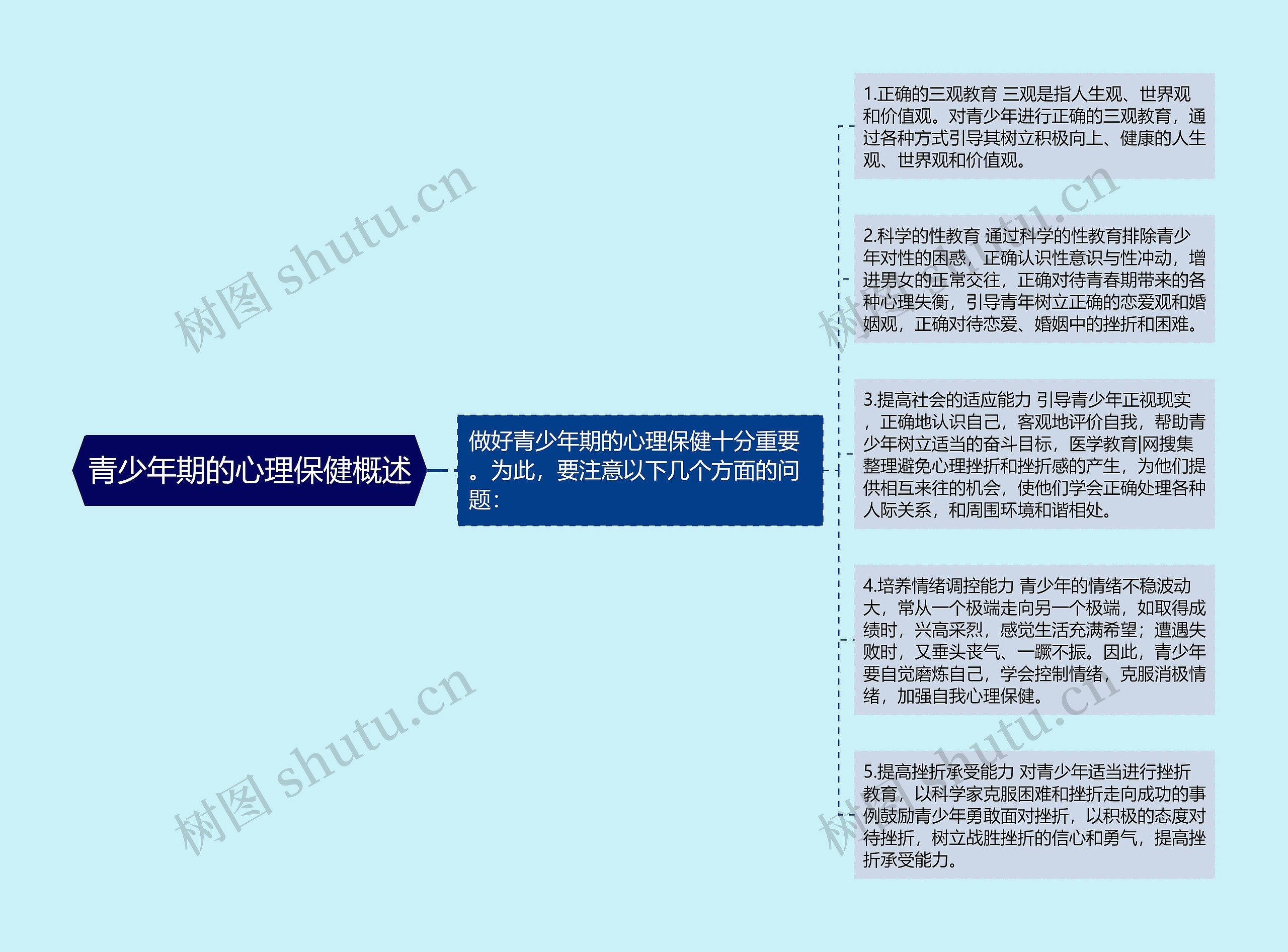 青少年期的心理保健概述思维导图