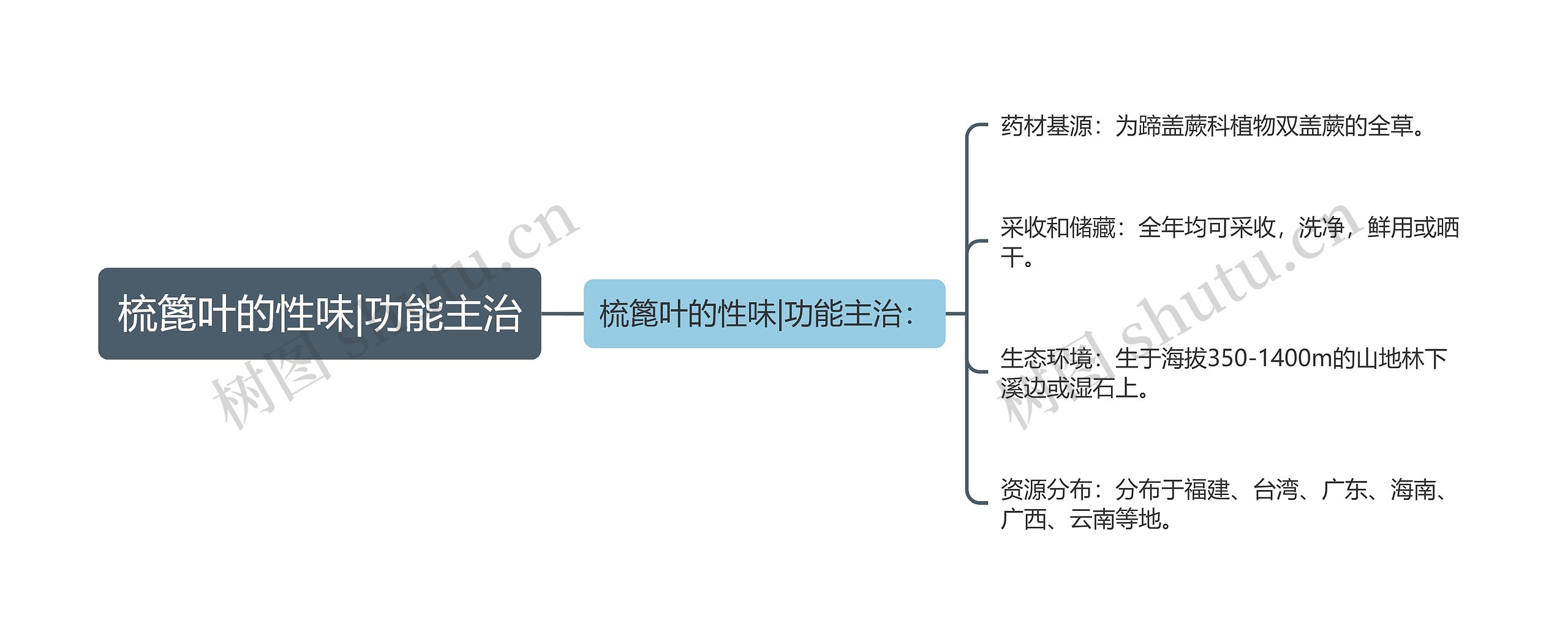 梳篦叶的性味|功能主治思维导图