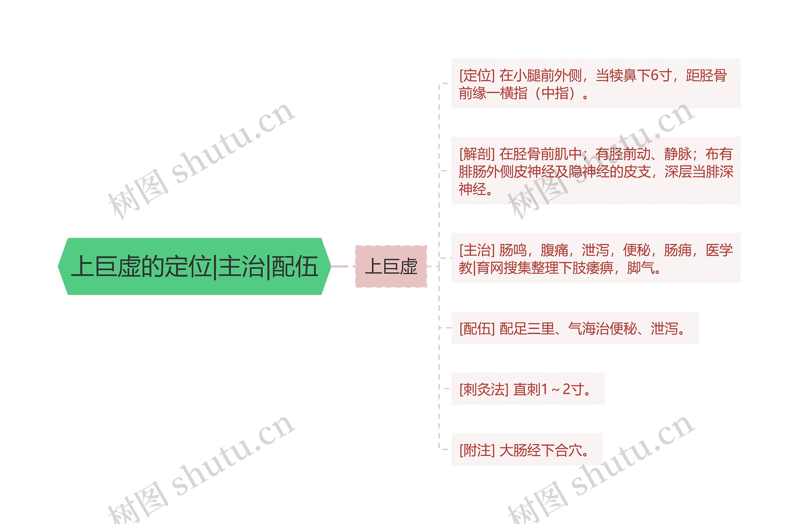 上巨虚的定位|主治|配伍思维导图