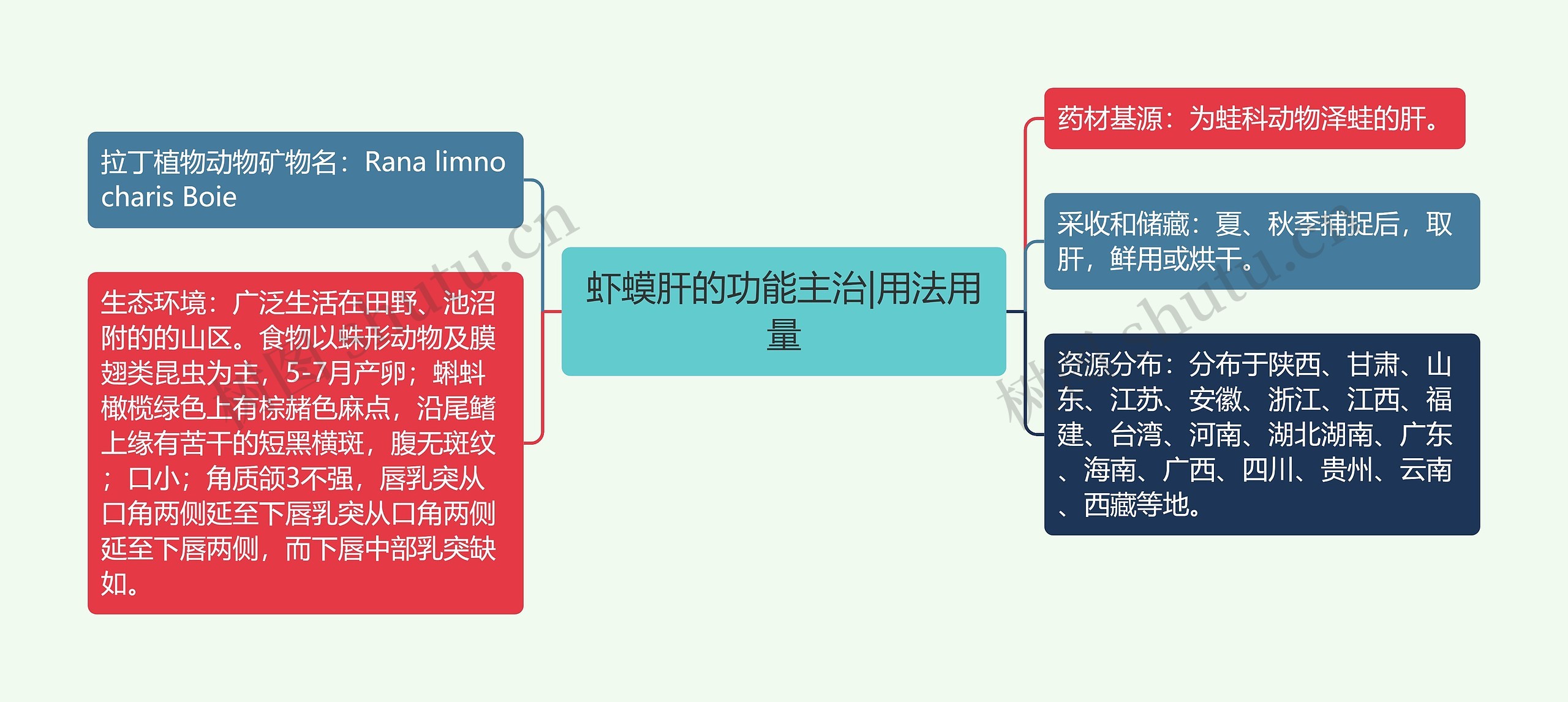 虾蟆肝的功能主治|用法用量