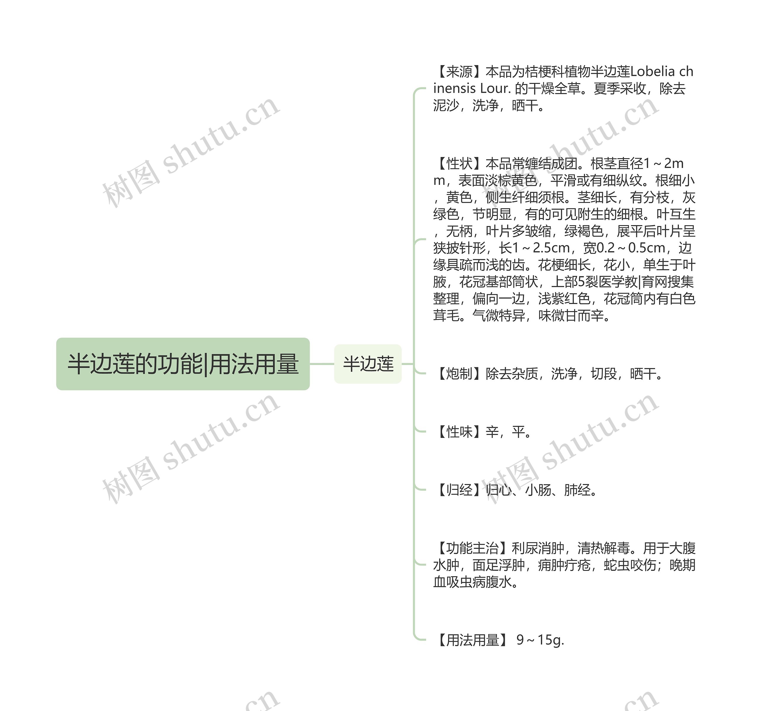 半边莲的功能|用法用量思维导图