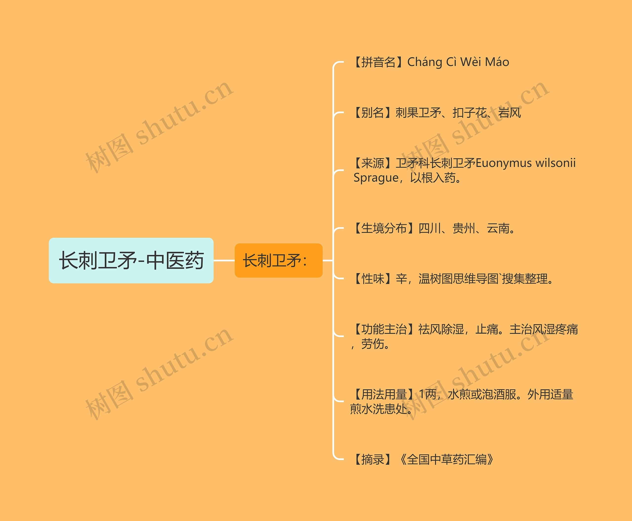 长刺卫矛-中医药思维导图