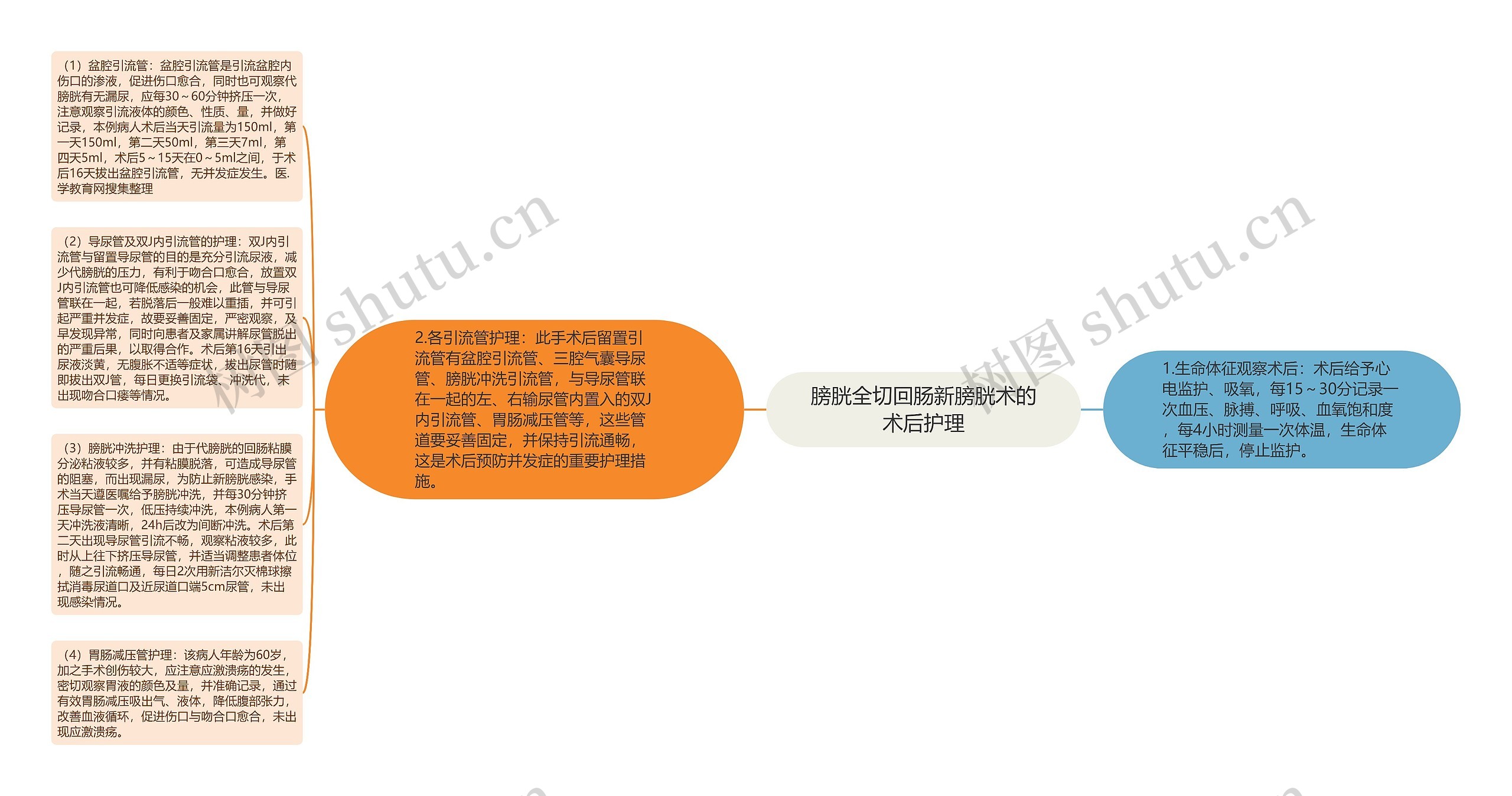 膀胱全切回肠新膀胱术的术后护理思维导图