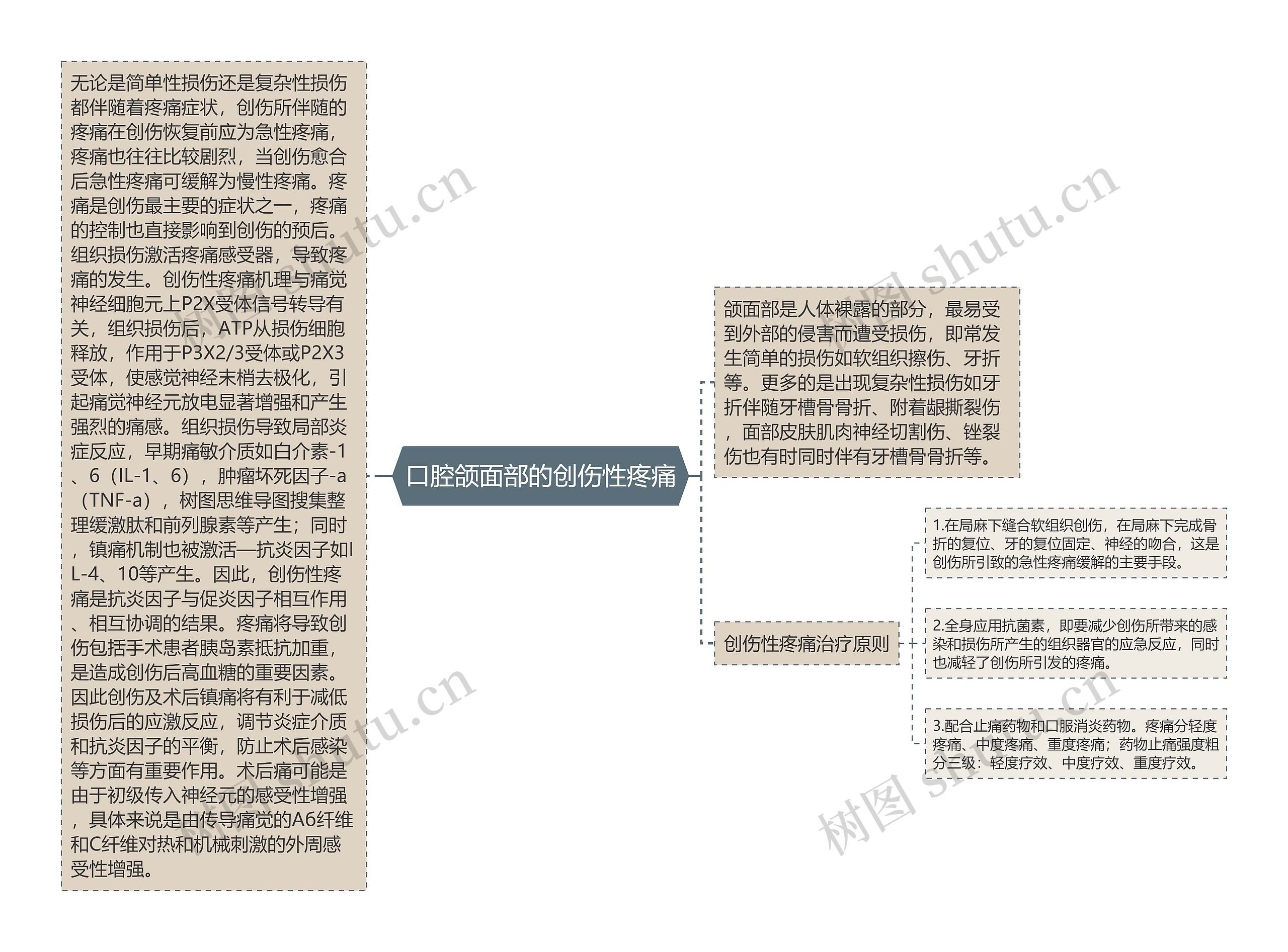 口腔颌面部的创伤性疼痛