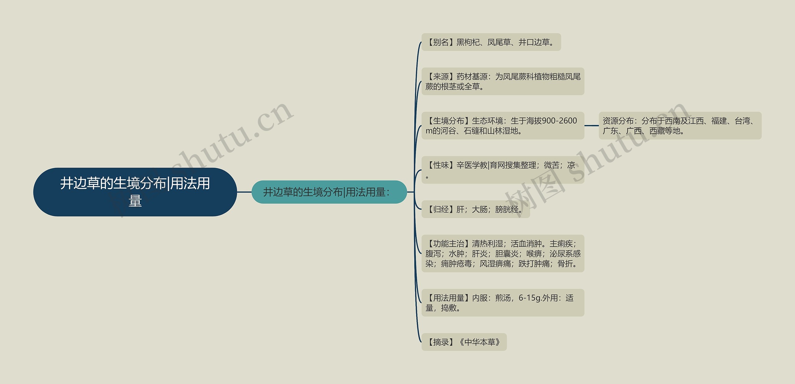井边草的生境分布|用法用量思维导图