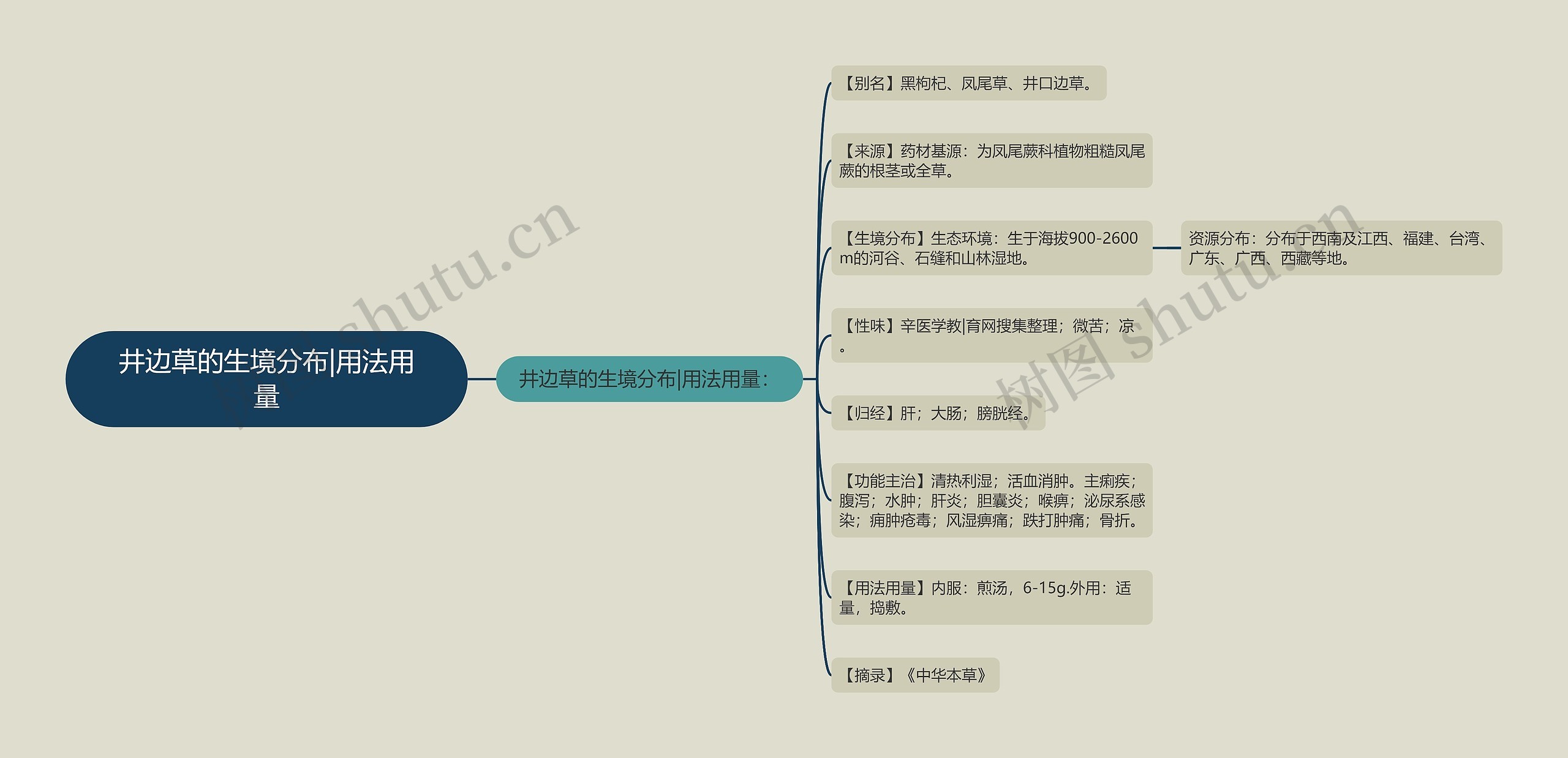 井边草的生境分布|用法用量 井边草的生境分布|用法用量