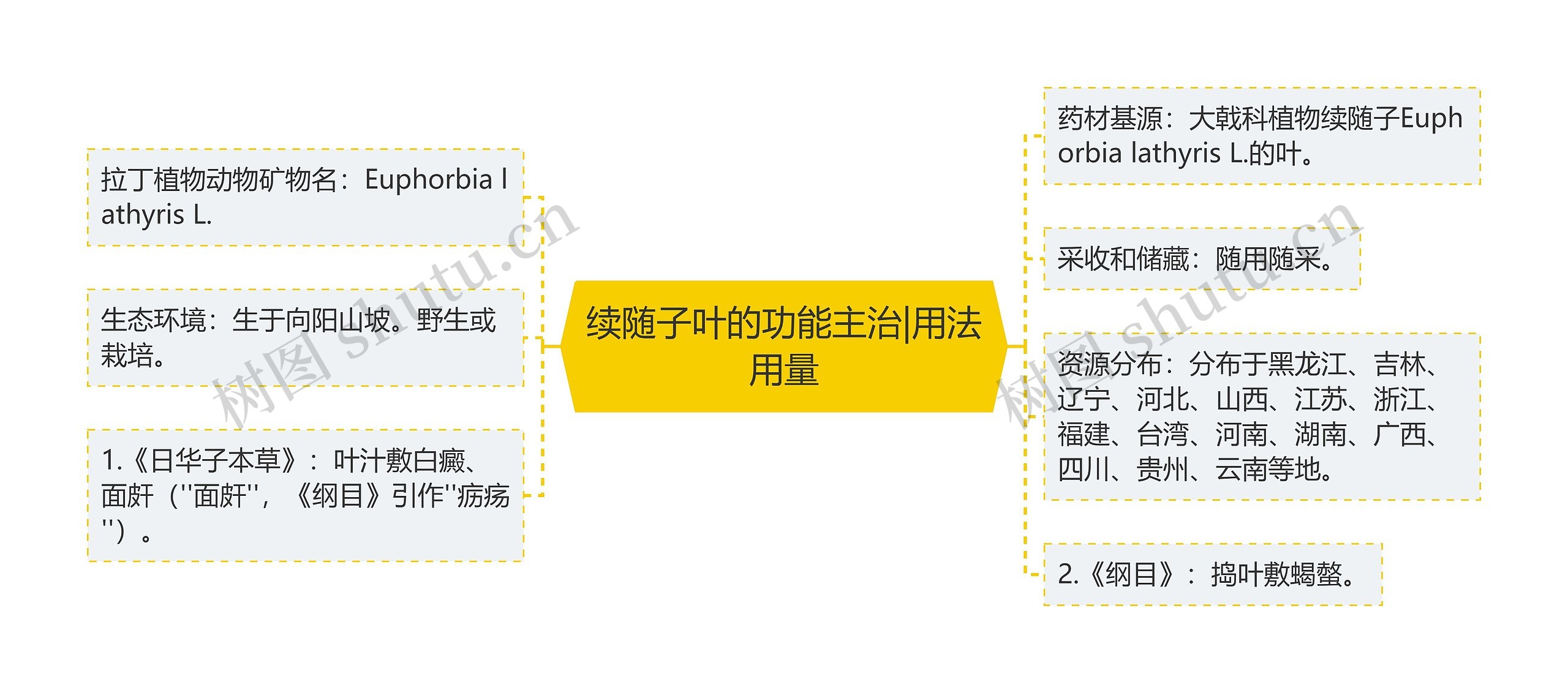 续随子叶的功能主治|用法用量思维导图