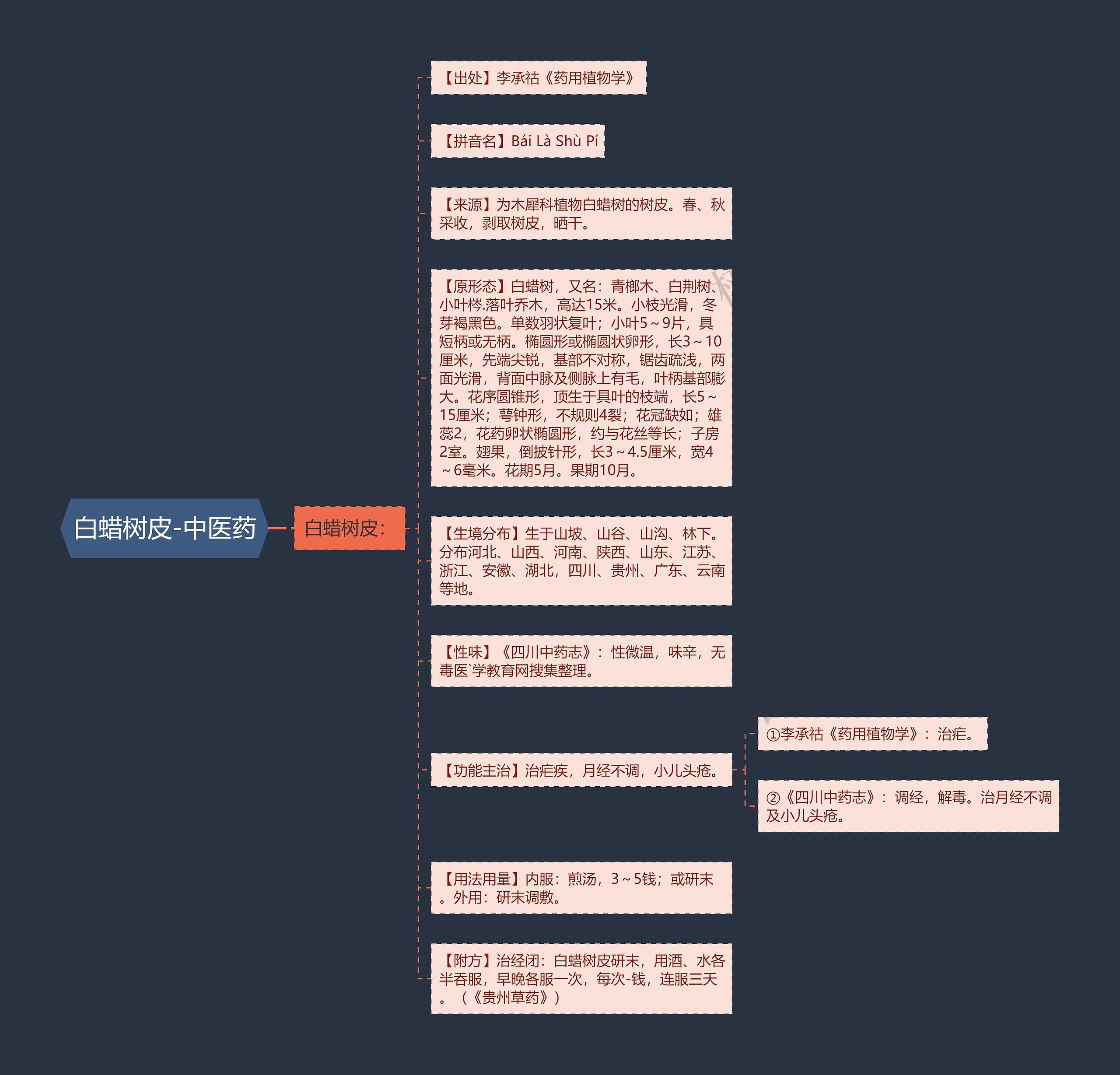白蜡树皮-中医药思维导图