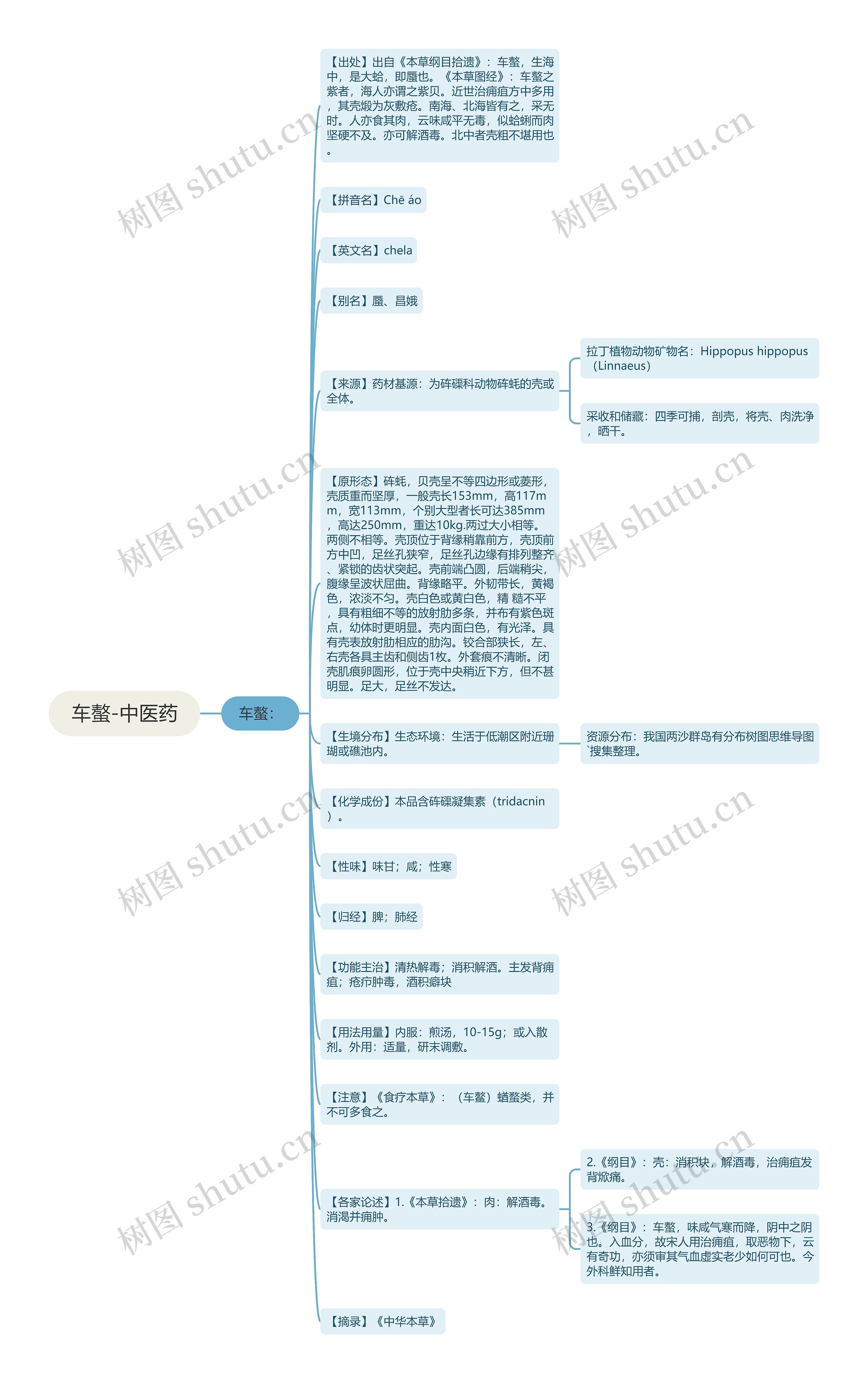 车螯-中医药