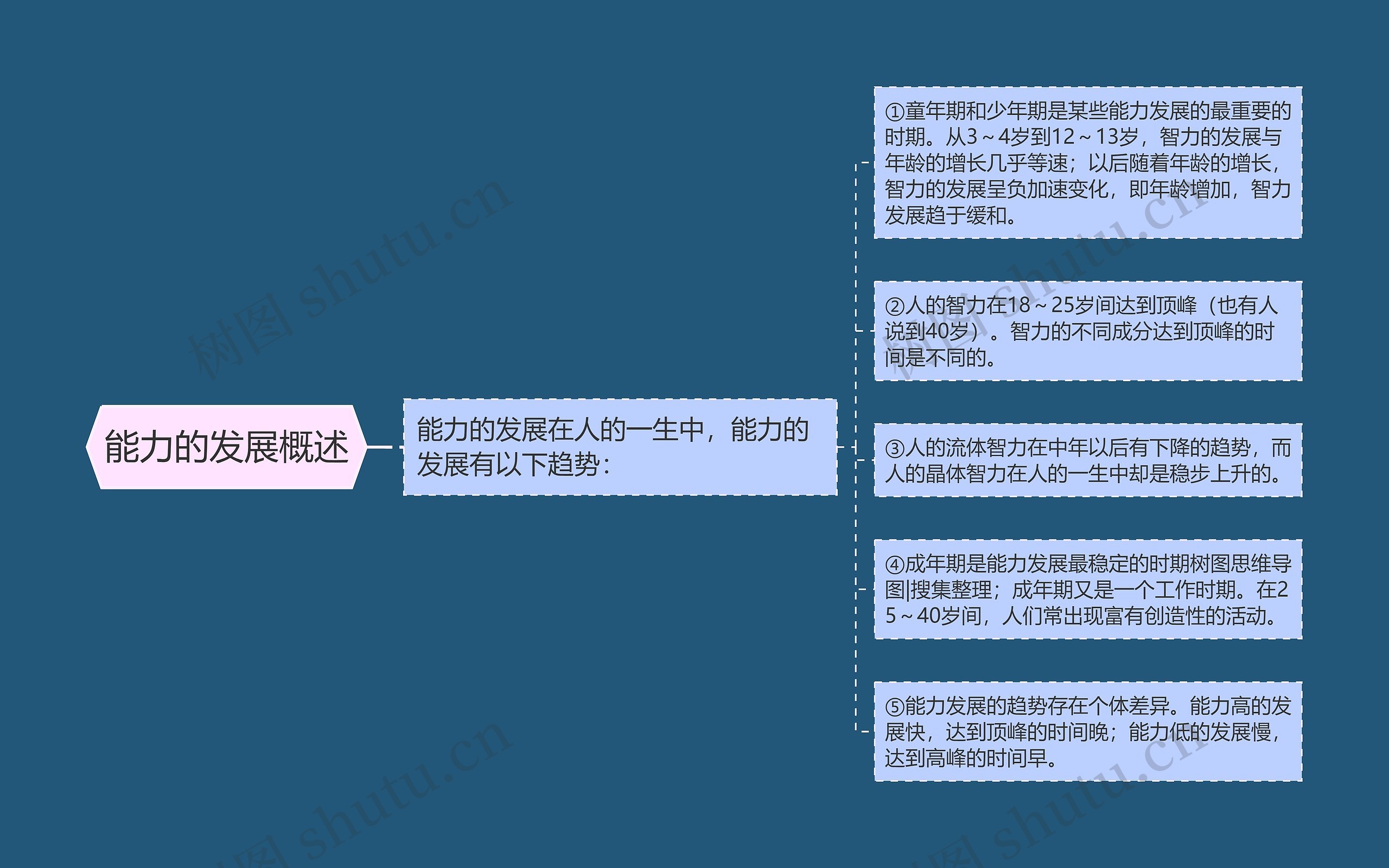 能力的发展概述 能力的发展概述