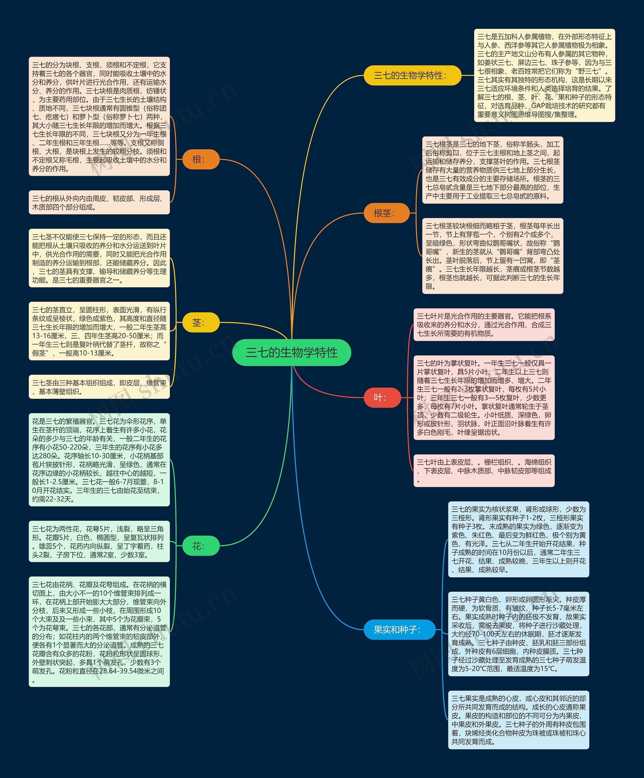 三七的生物学特性 三七的生物学特性