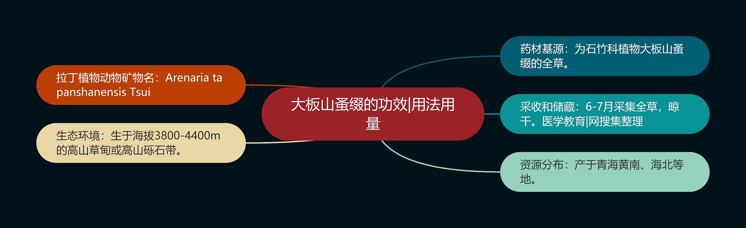 大板山蚤缀的功效|用法用量 大板山蚤缀的功效|用法用量