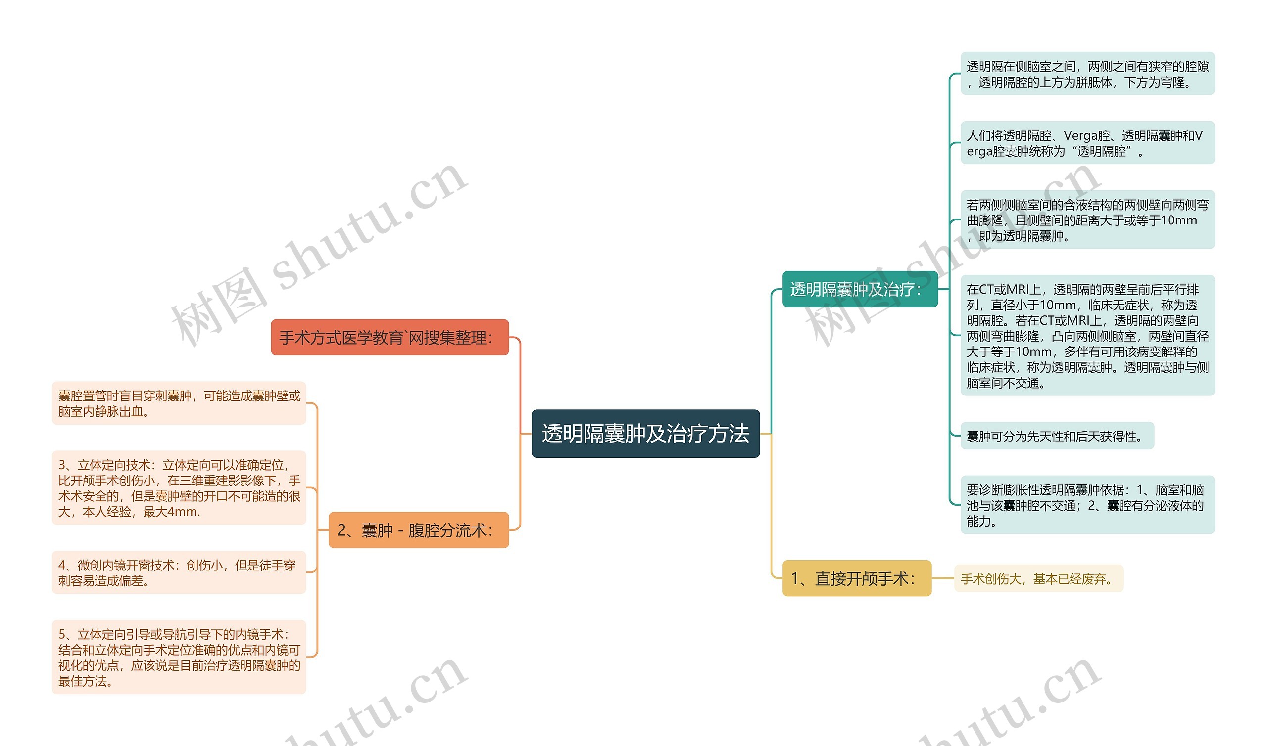 透明隔囊肿及治疗方法思维导图