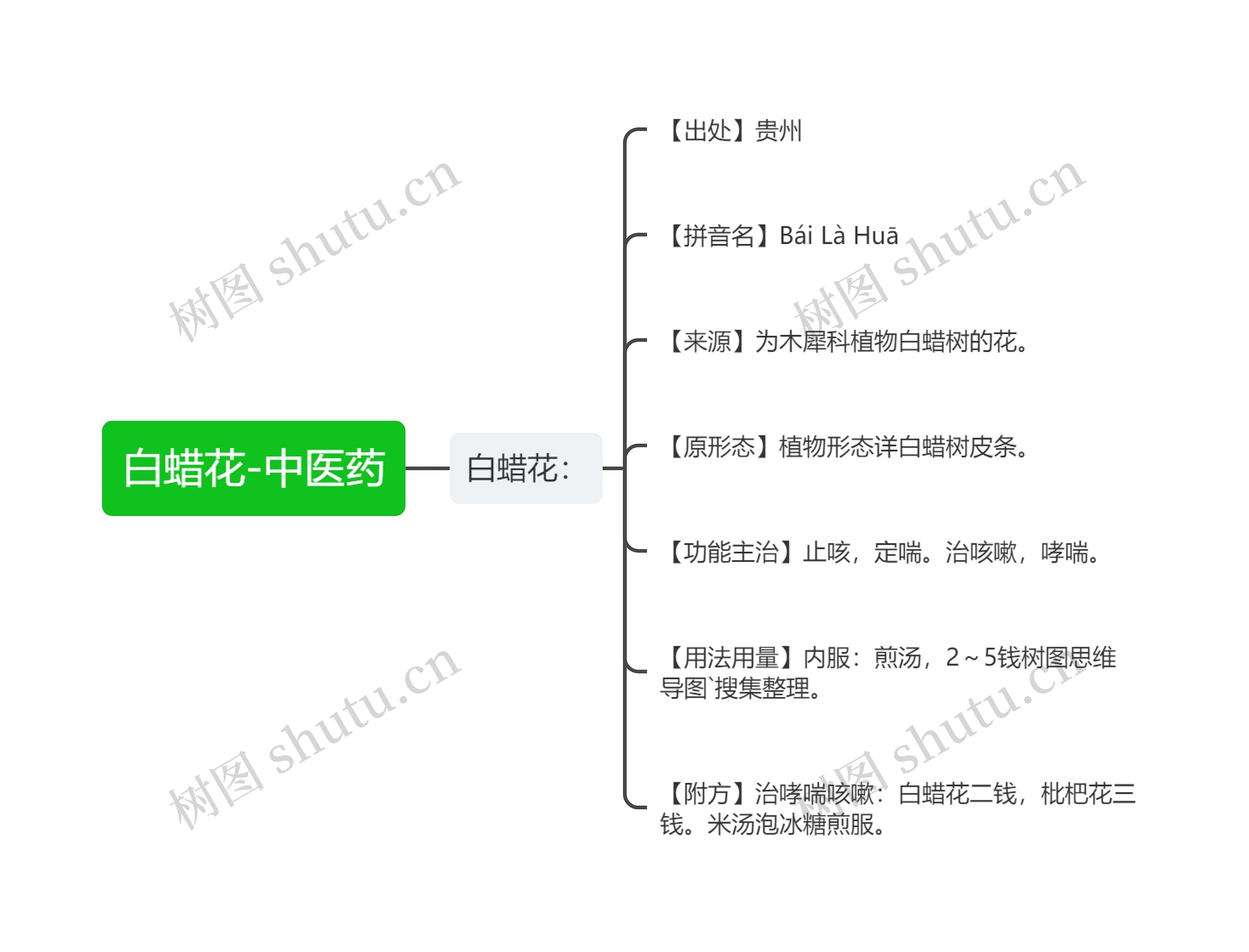 白蜡花-中医药思维导图