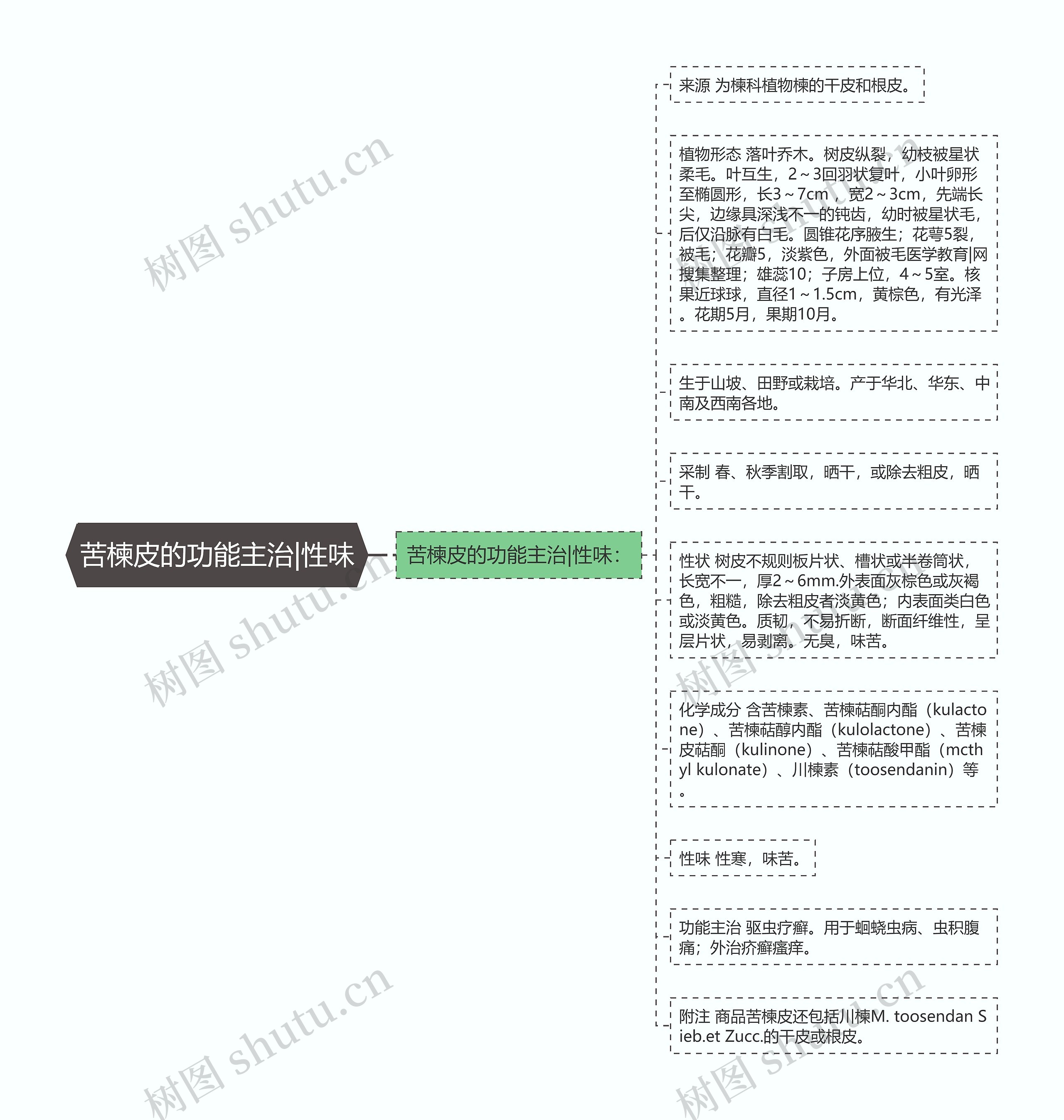 苦楝皮的功能主治|性味思维导图