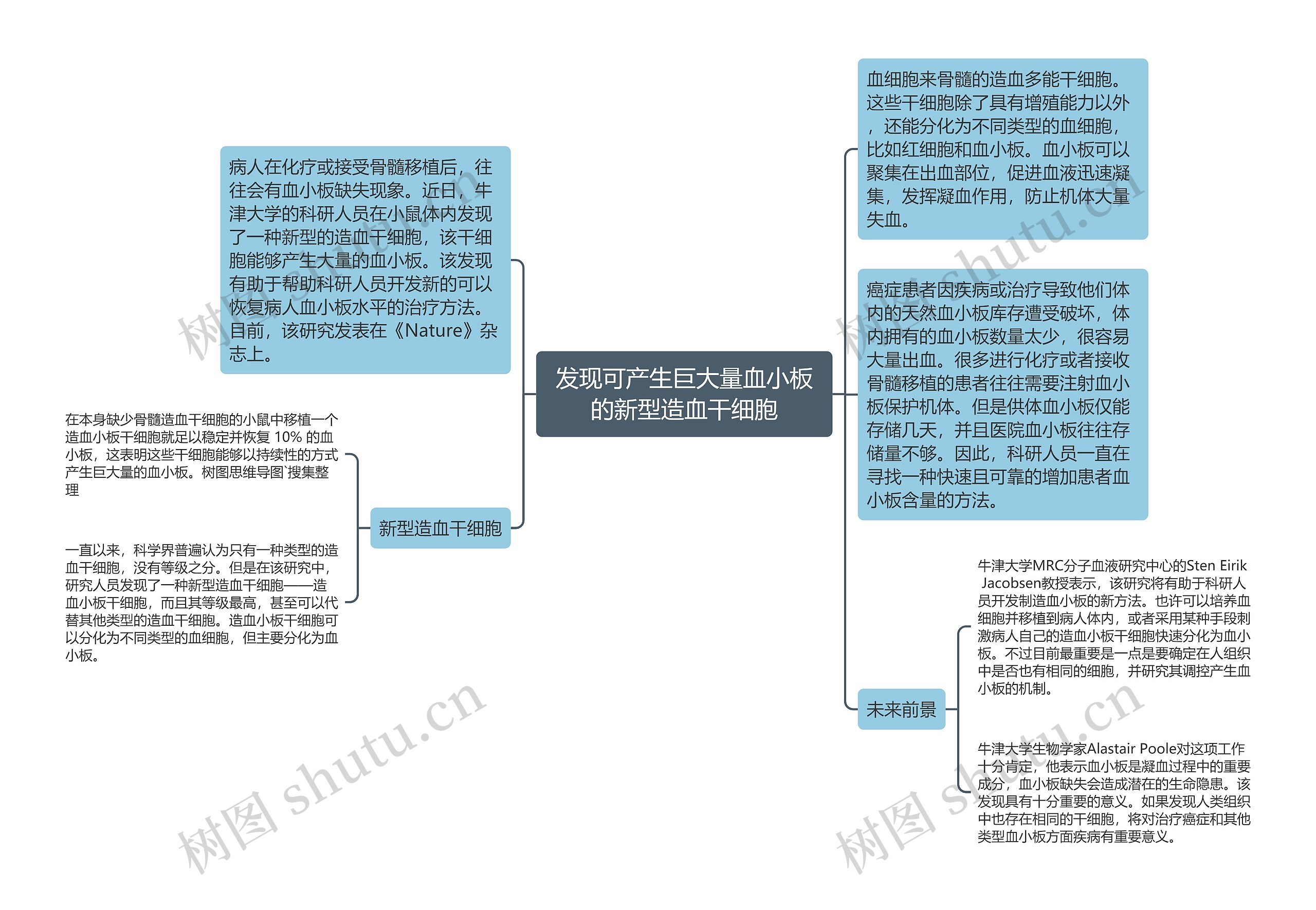 发现可产生巨大量血小板的新型造血干细胞