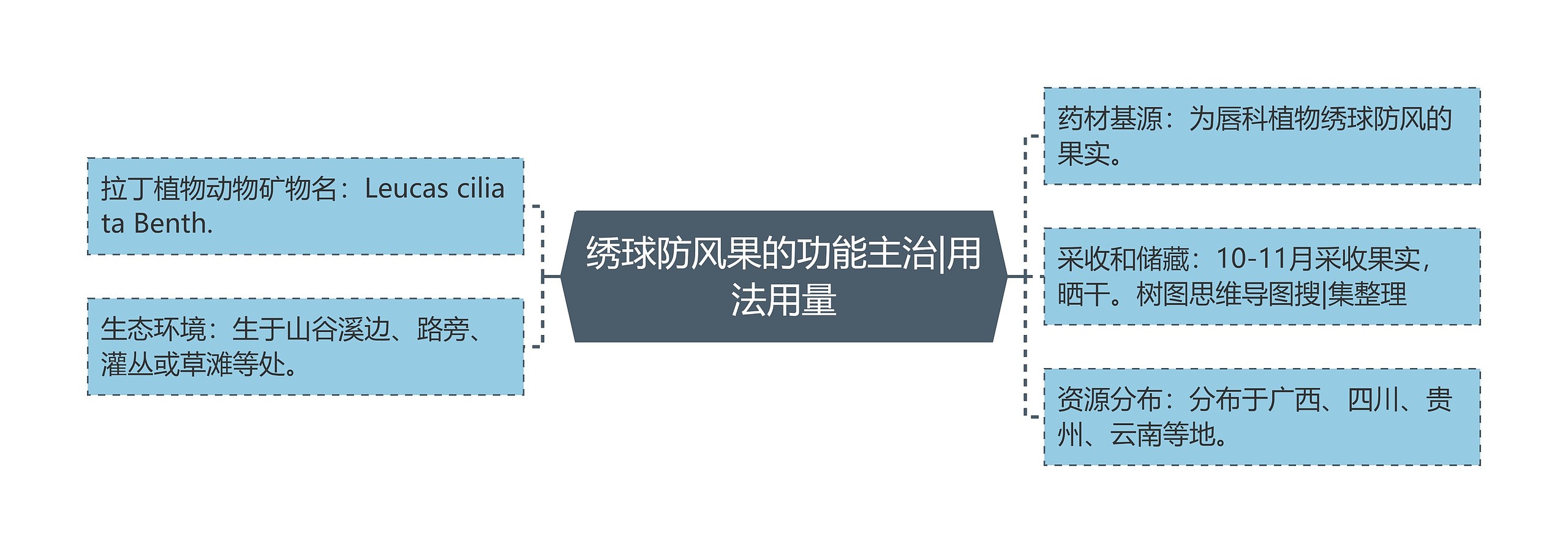 绣球防风果的功能主治|用法用量 绣球防风果的功能主治|用法用量