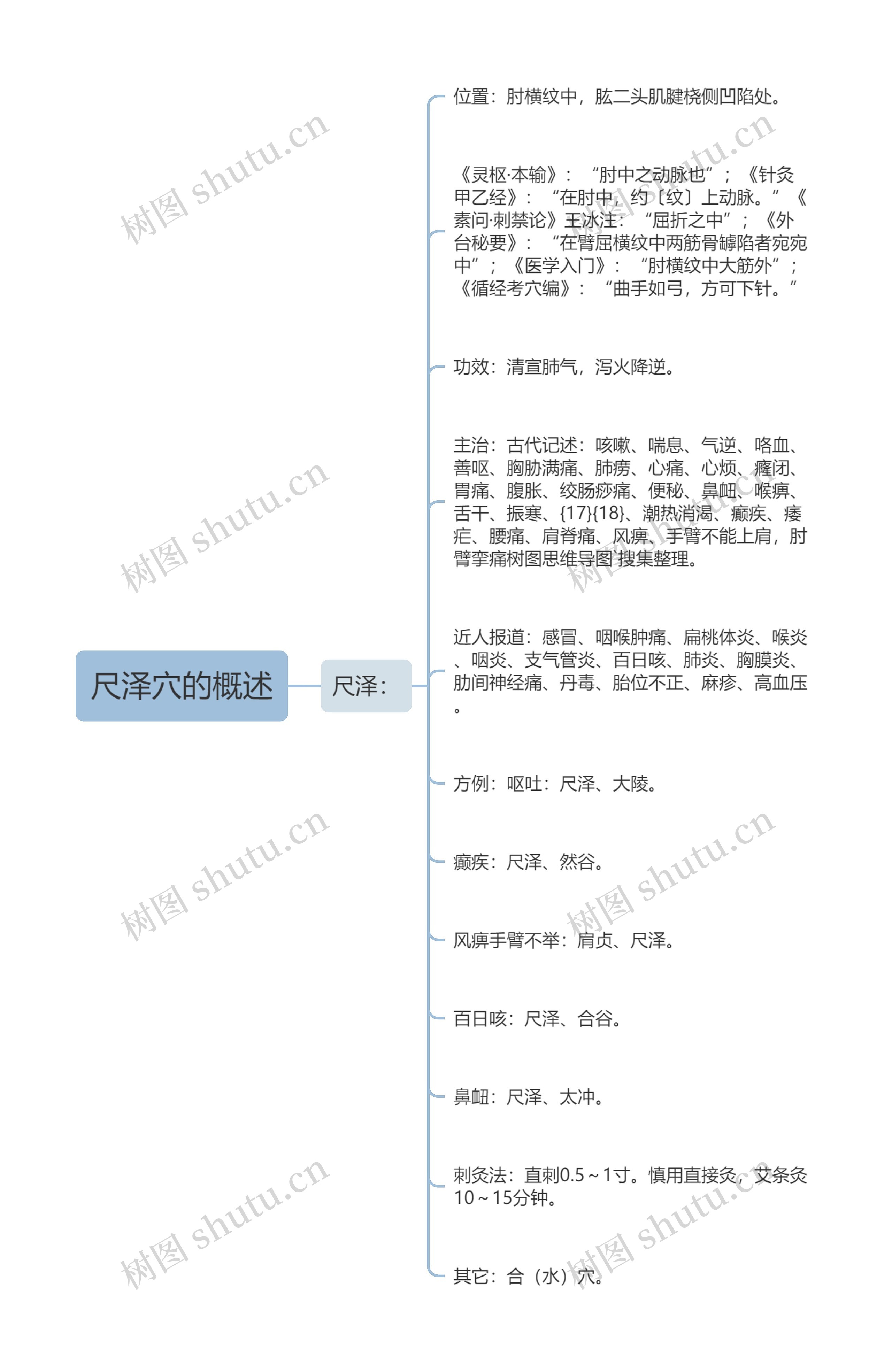 尺泽穴的概述思维导图