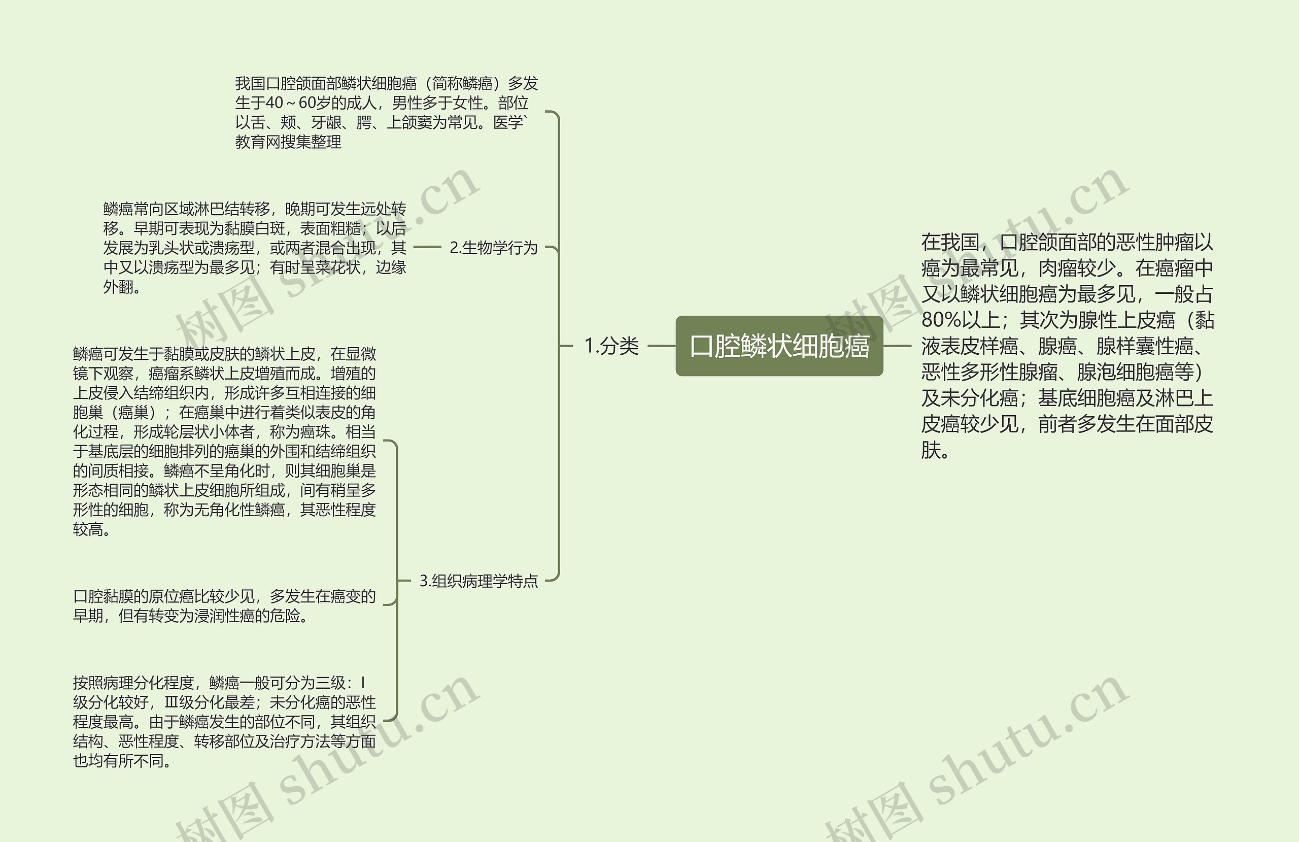 口腔鳞状细胞癌思维导图