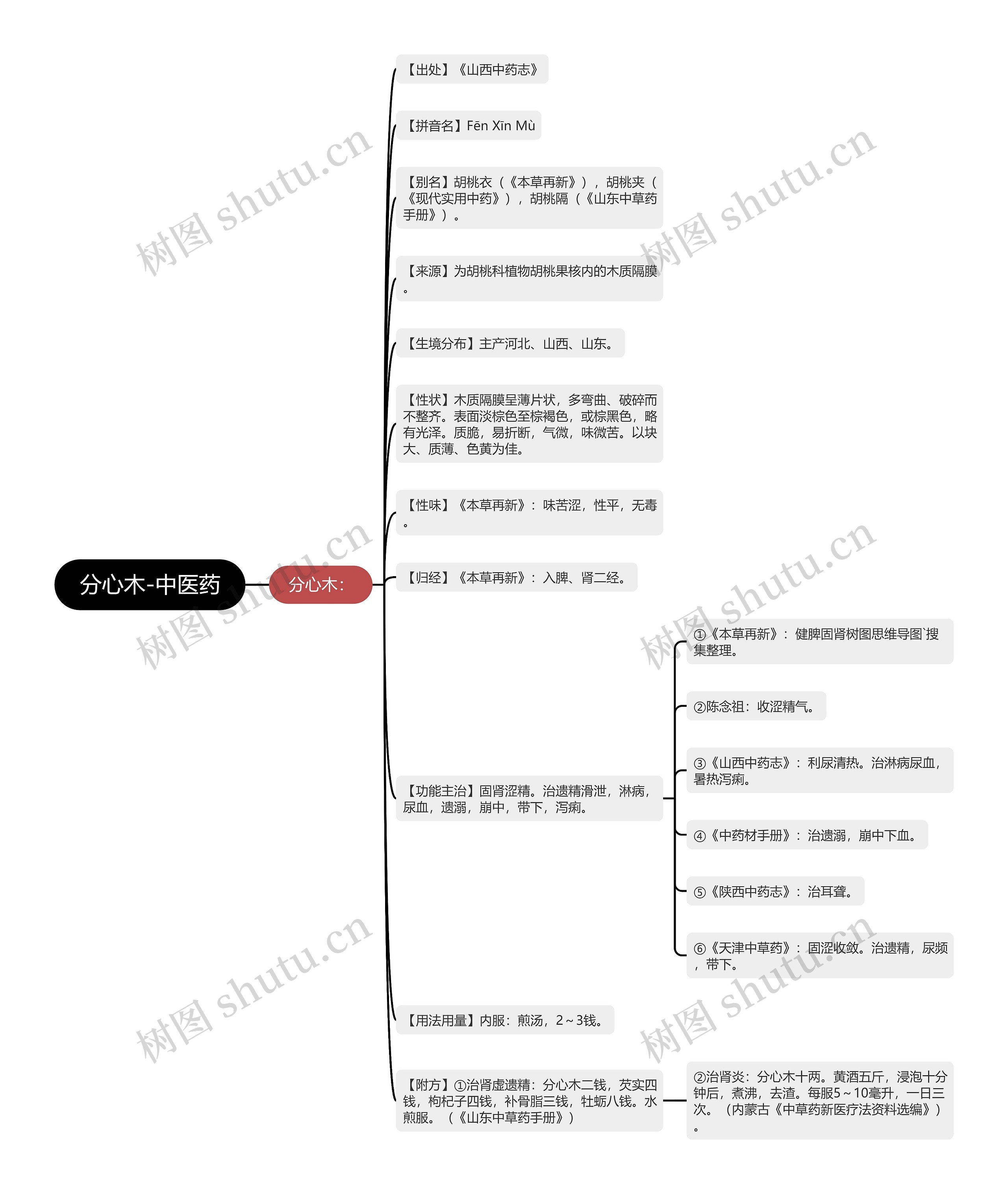 分心木-中医药思维导图