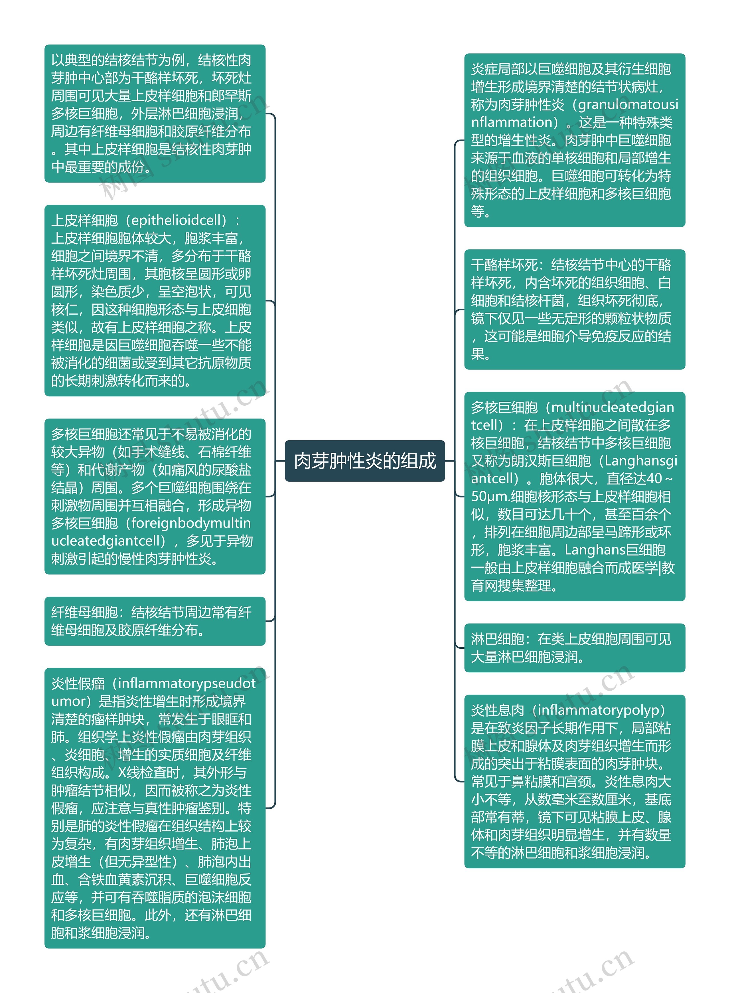 肉芽肿性炎的组成思维导图