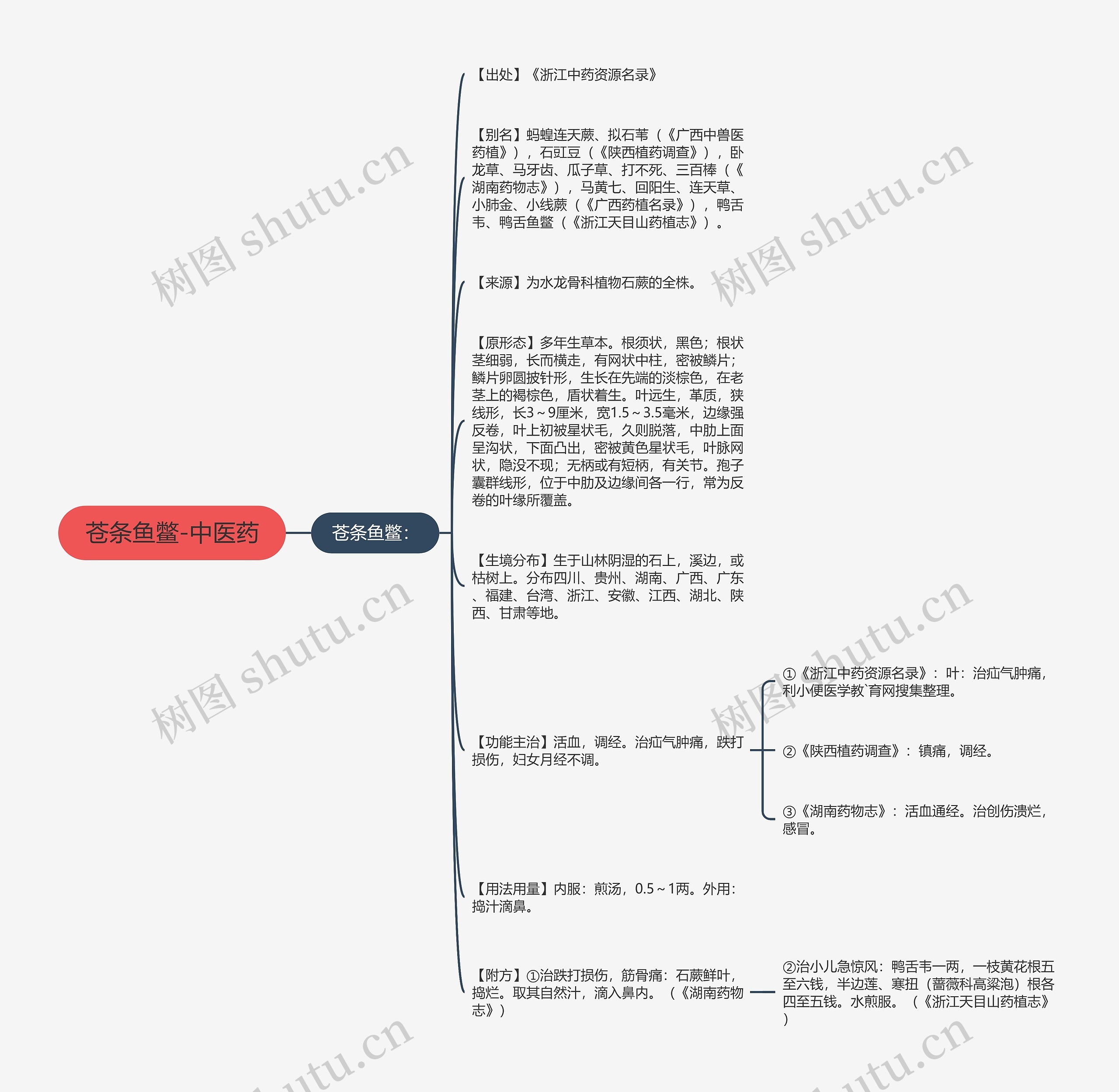 苍条鱼鳖-中医药思维导图