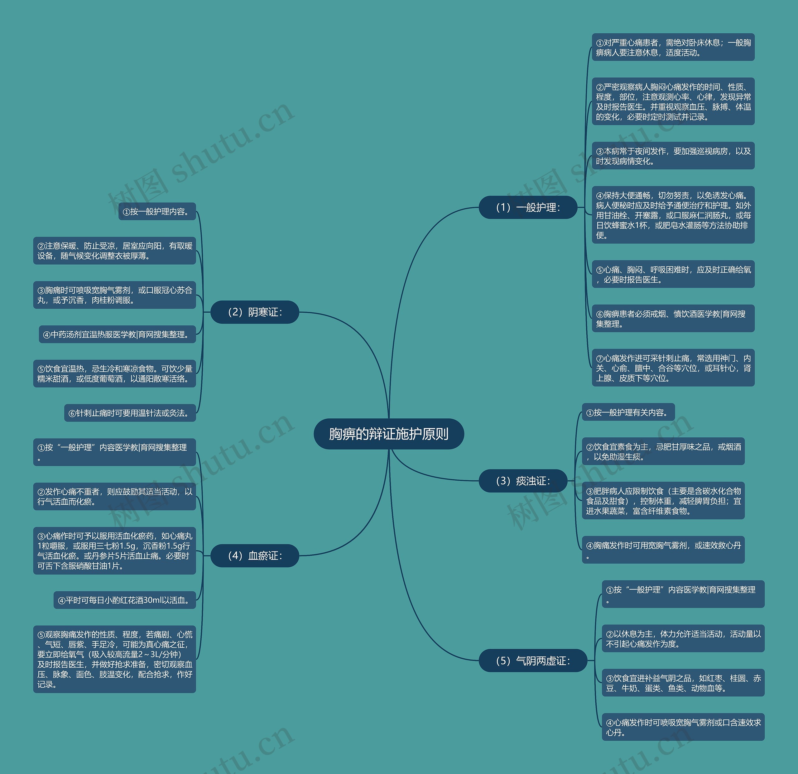 胸痹的辩证施护原则思维导图