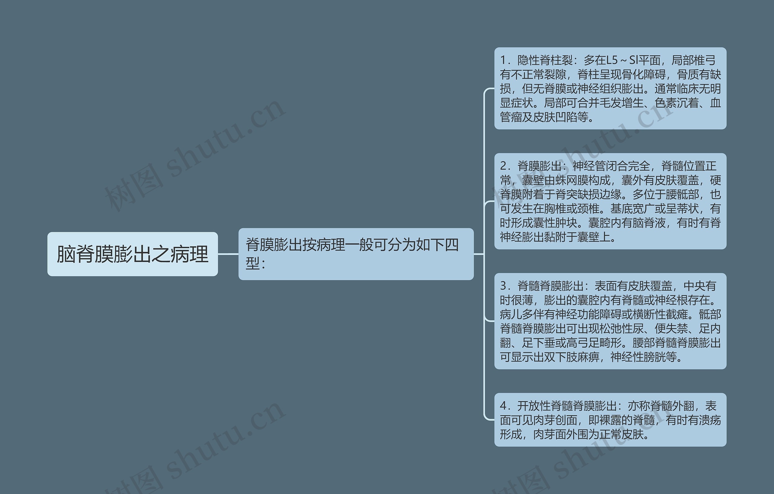 脑脊膜膨出之病理思维导图