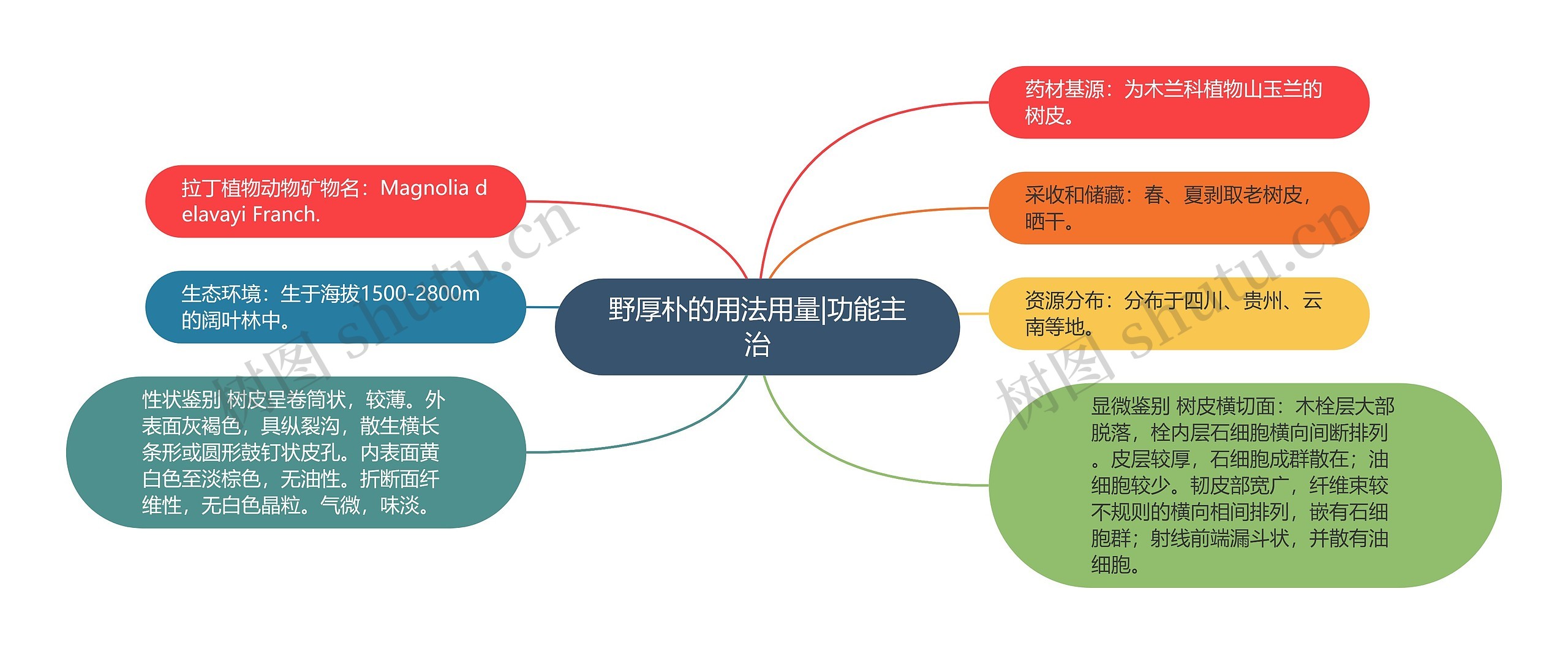 野厚朴的用法用量|功能主治思维导图