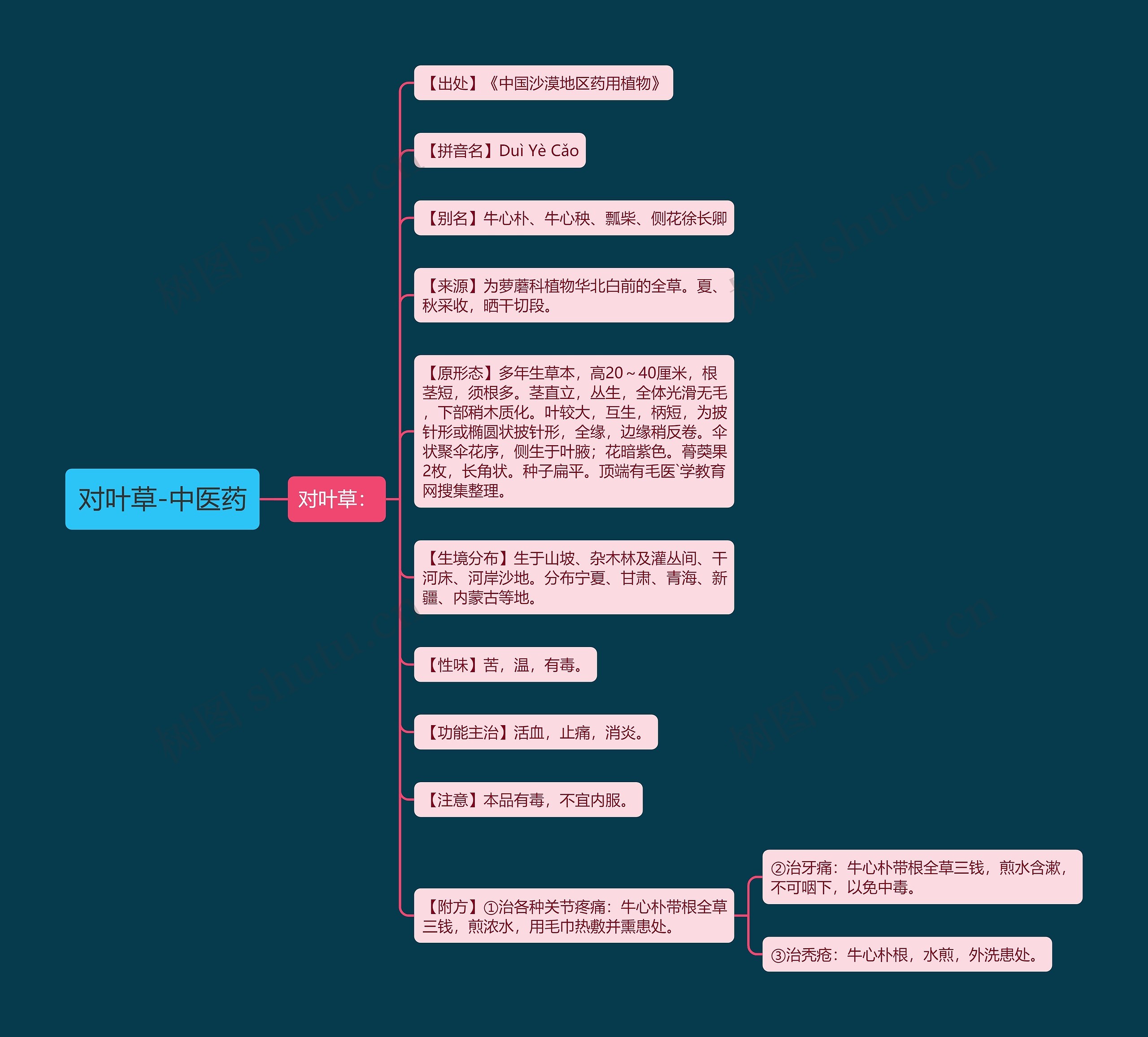 对叶草-中医药思维导图