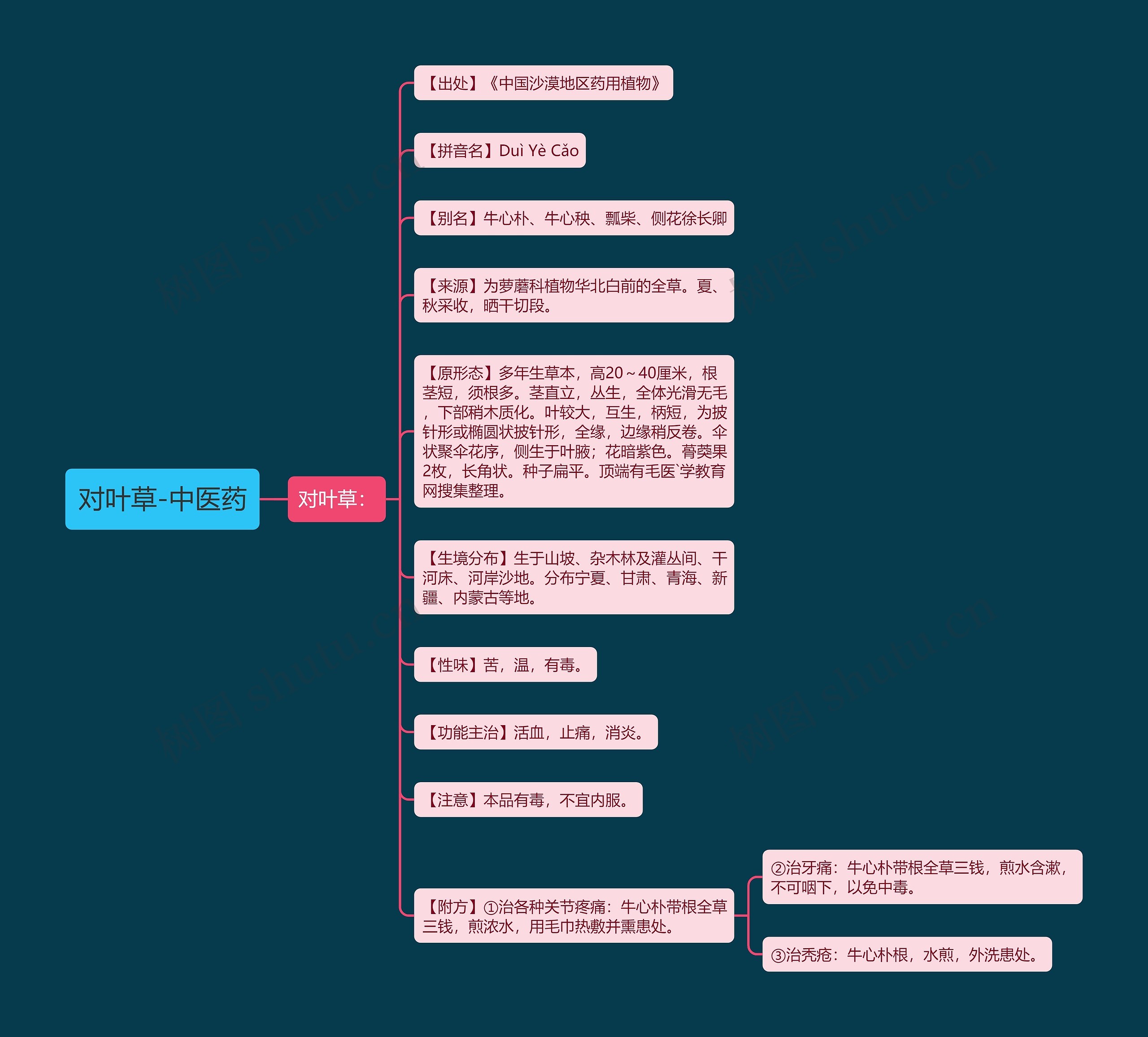 对叶草-中医药 对叶草-中医药