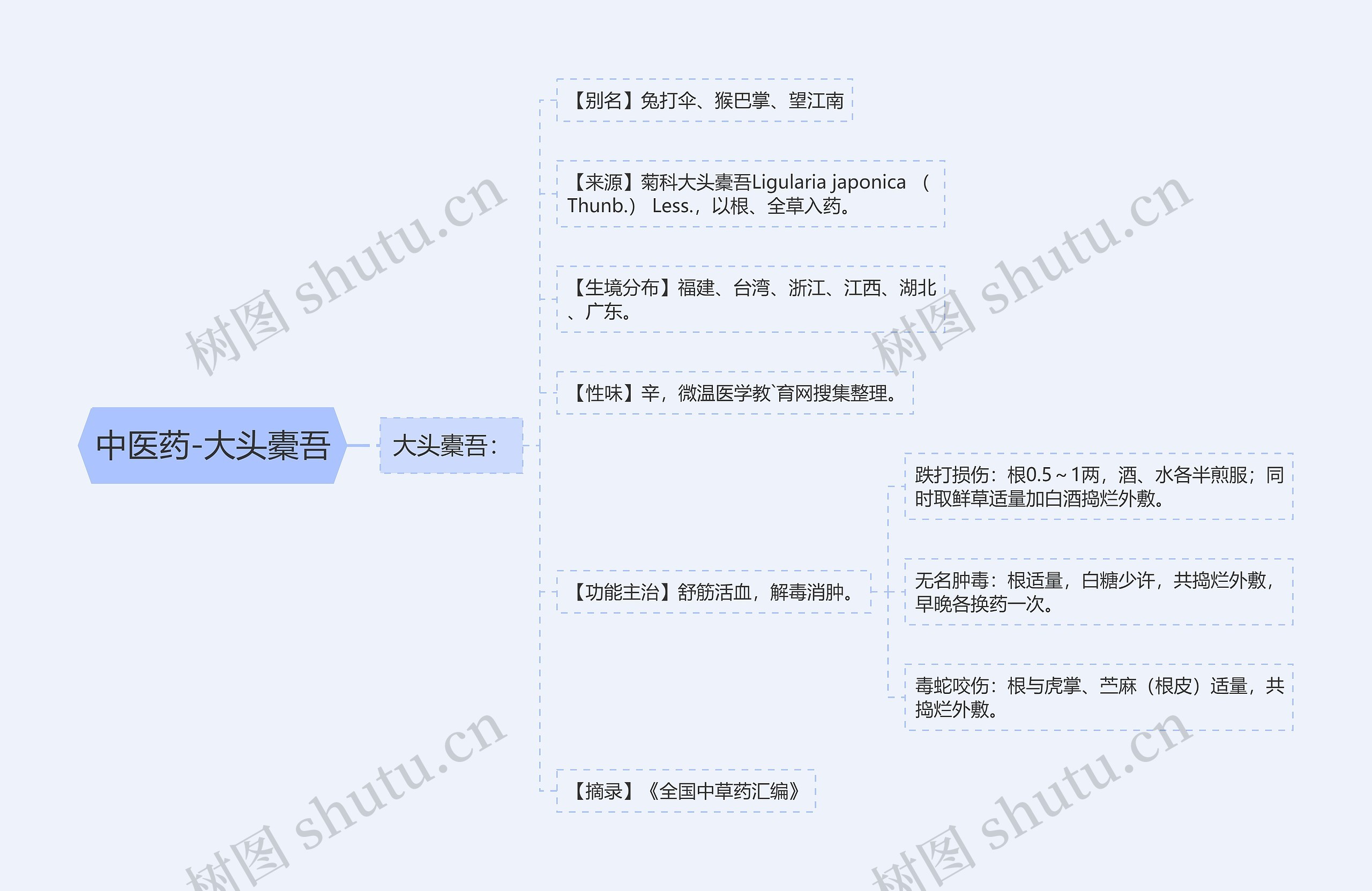 中医药-大头橐吾 中医药-大头橐吾