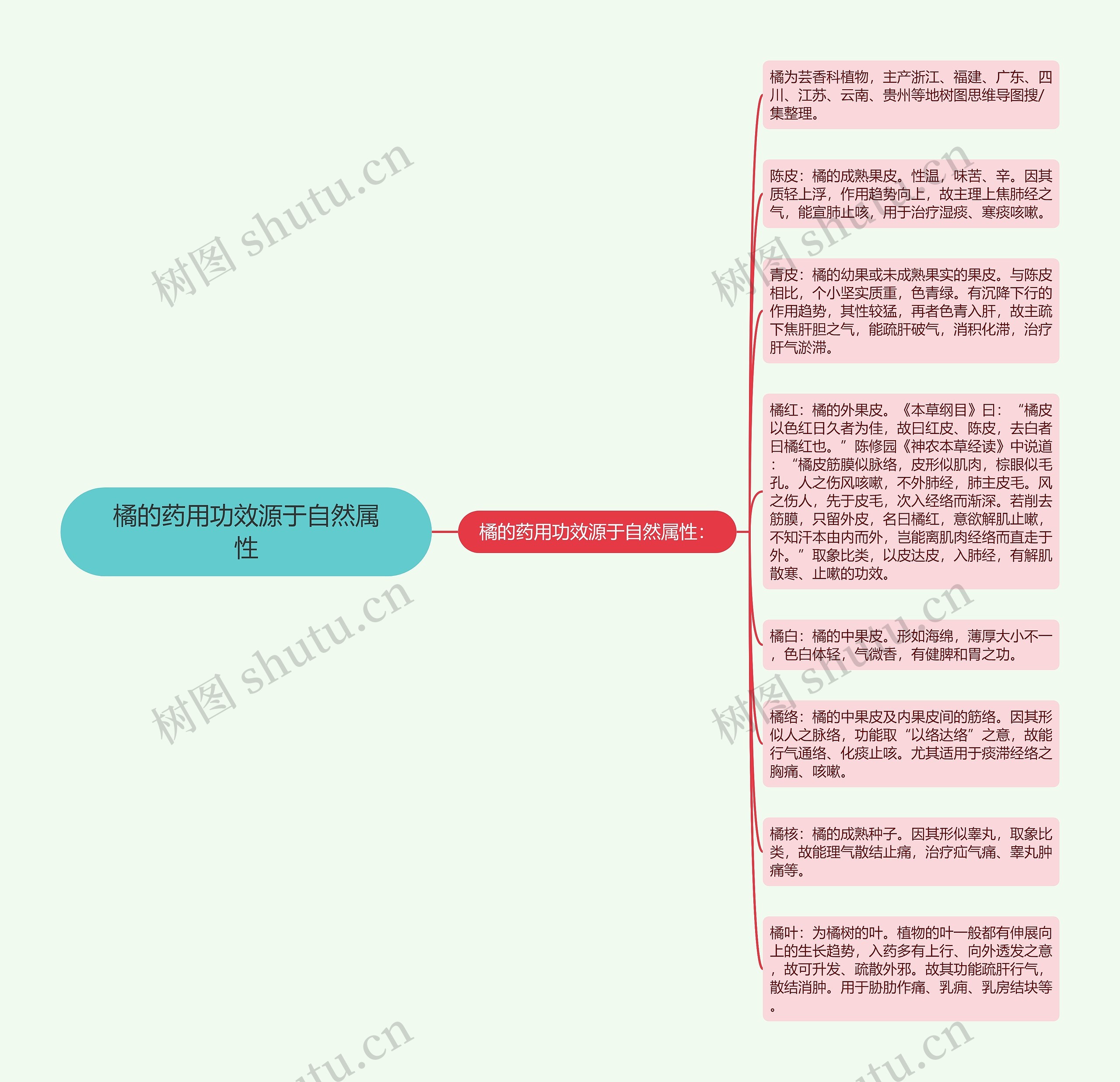 橘的药用功效源于自然属性思维导图