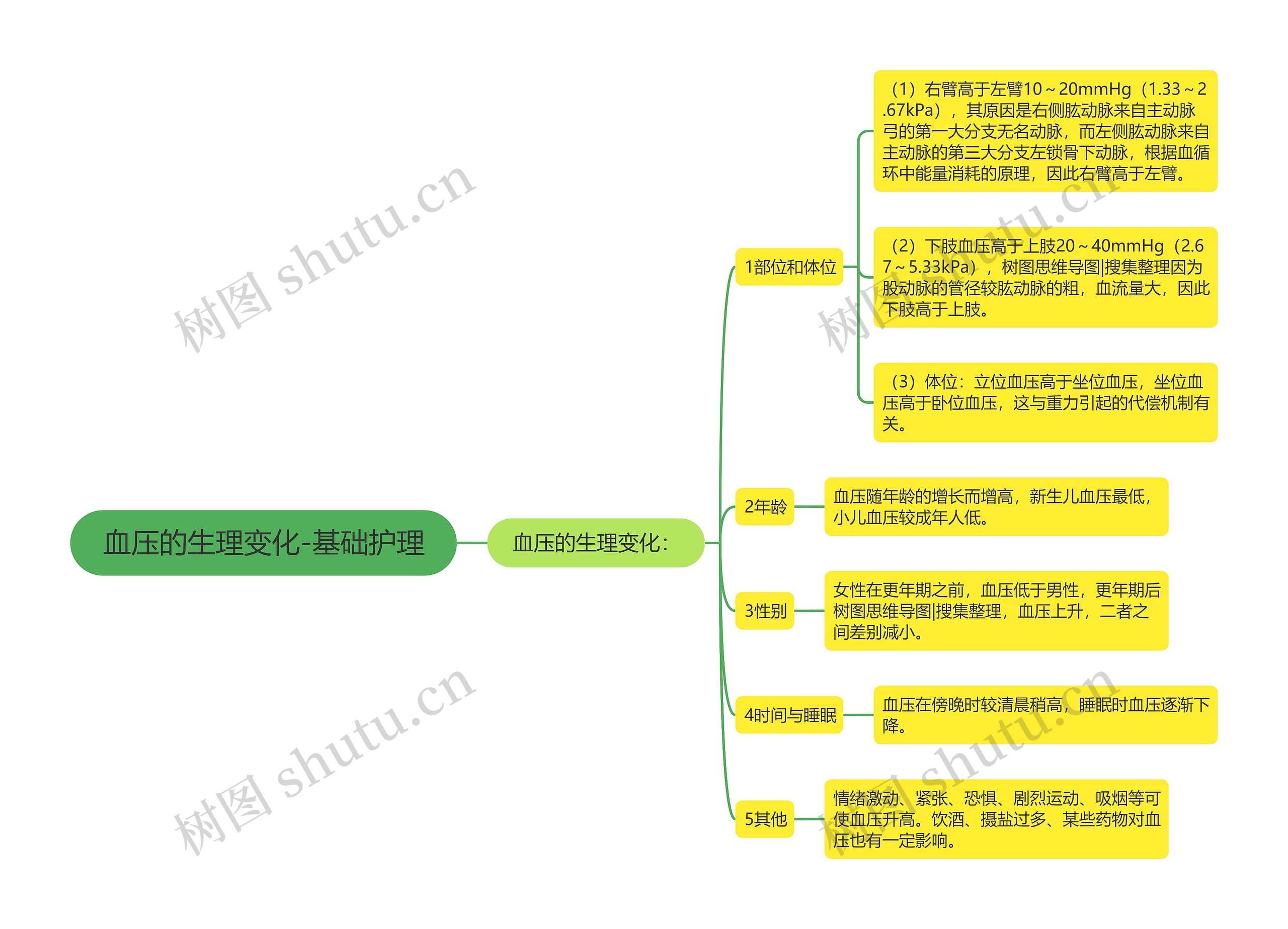 血压的生理变化-基础护理 血压的生理变化-基础护理