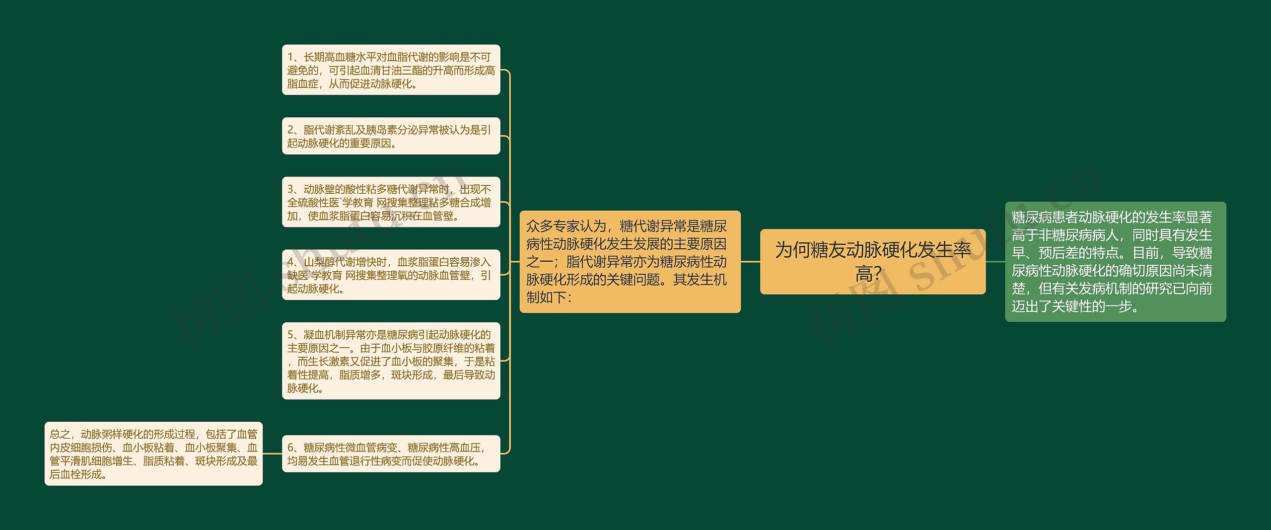 为何糖友动脉硬化发生率高？