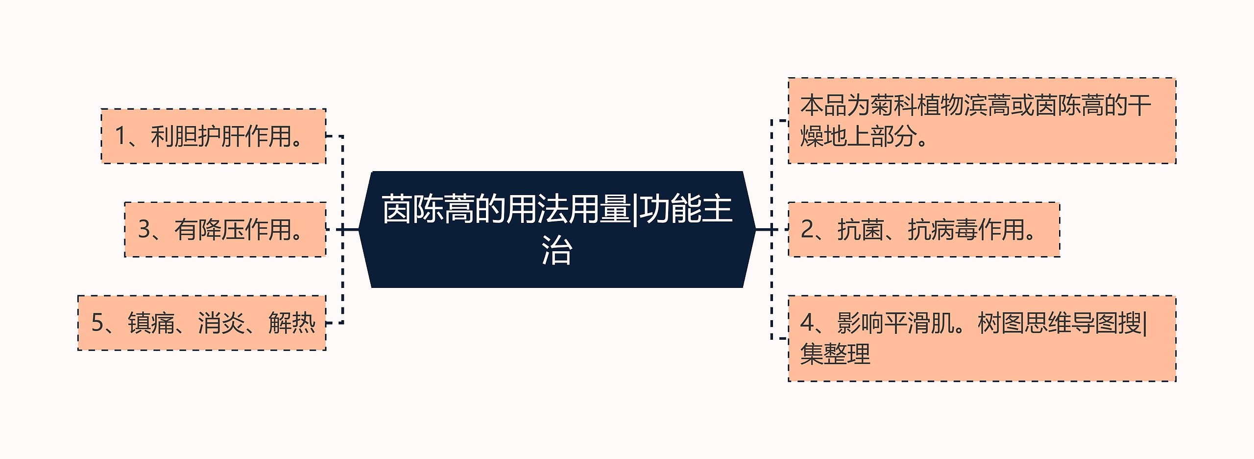 茵陈蒿的用法用量|功能主治思维导图